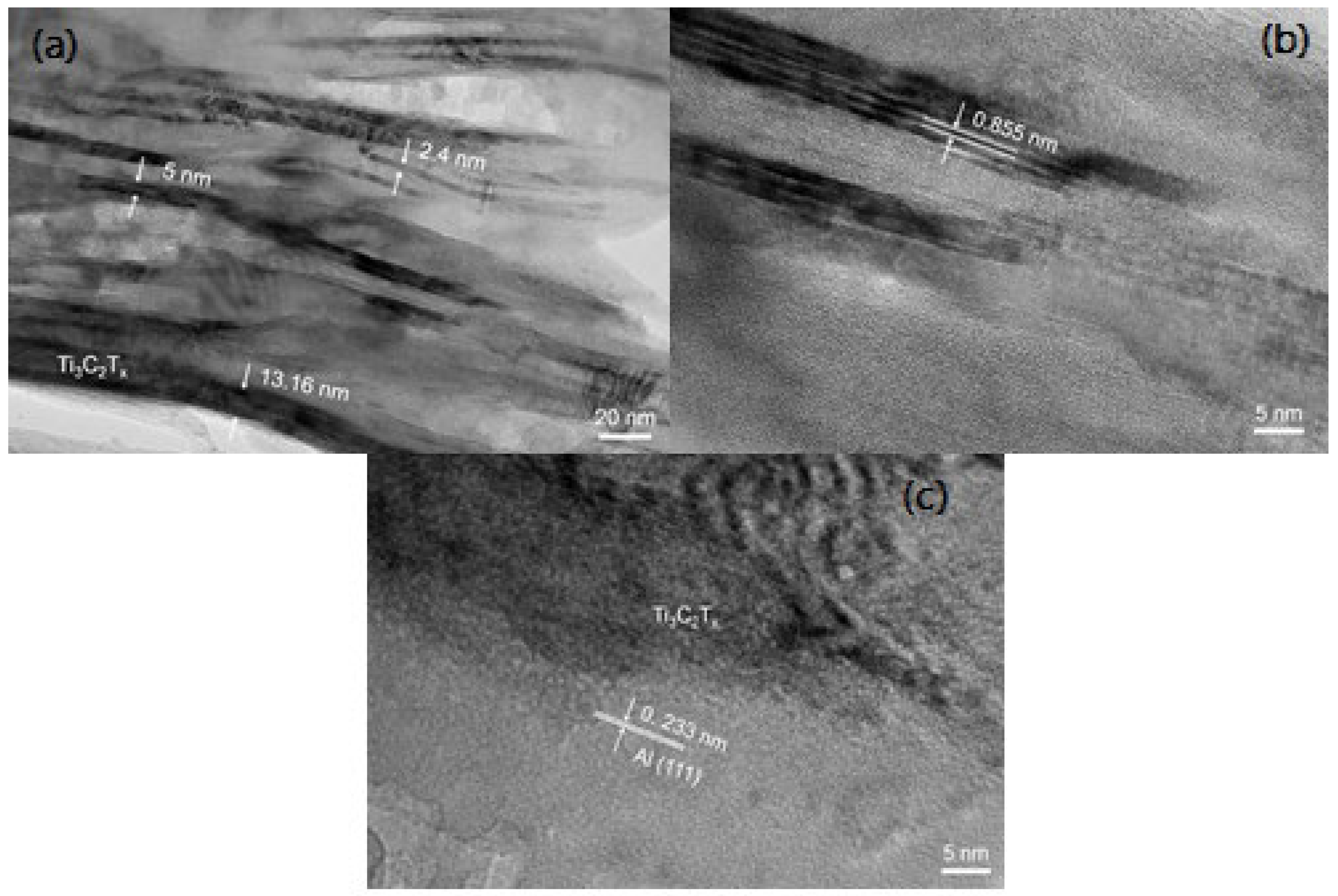 Coatings 12 00516 g020 550