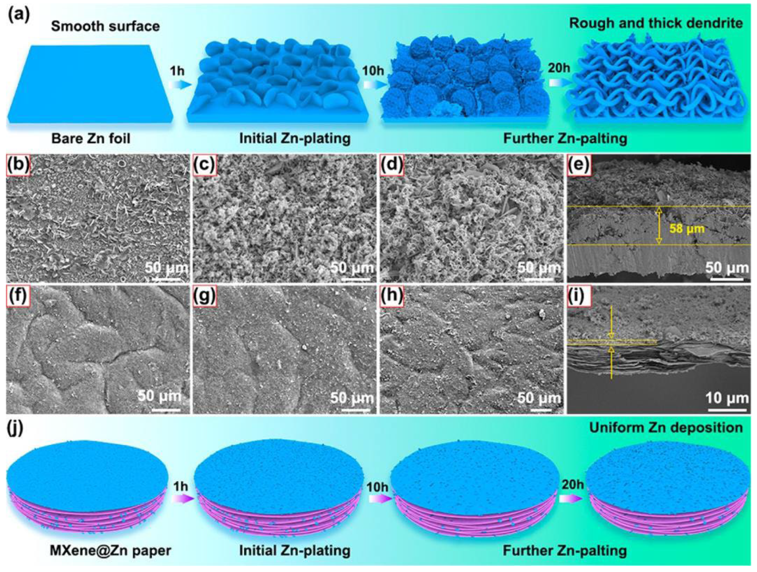 Coatings 12 00516 g022 550
