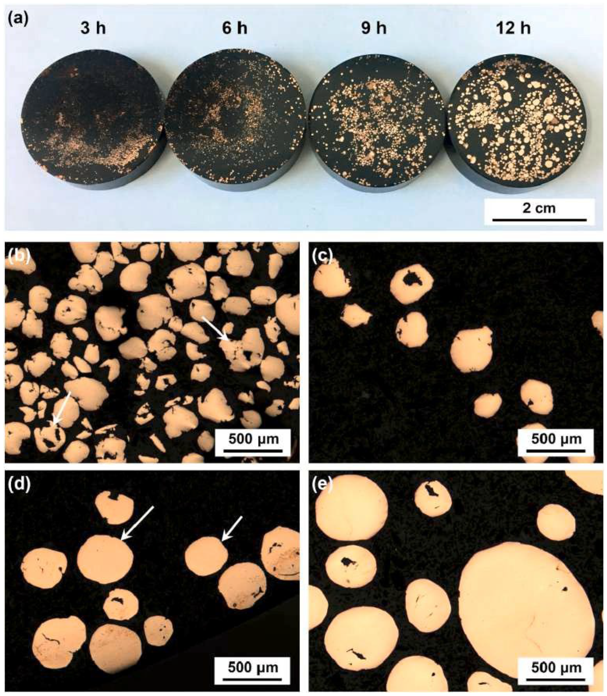 Coatings 12 00516 g024 550