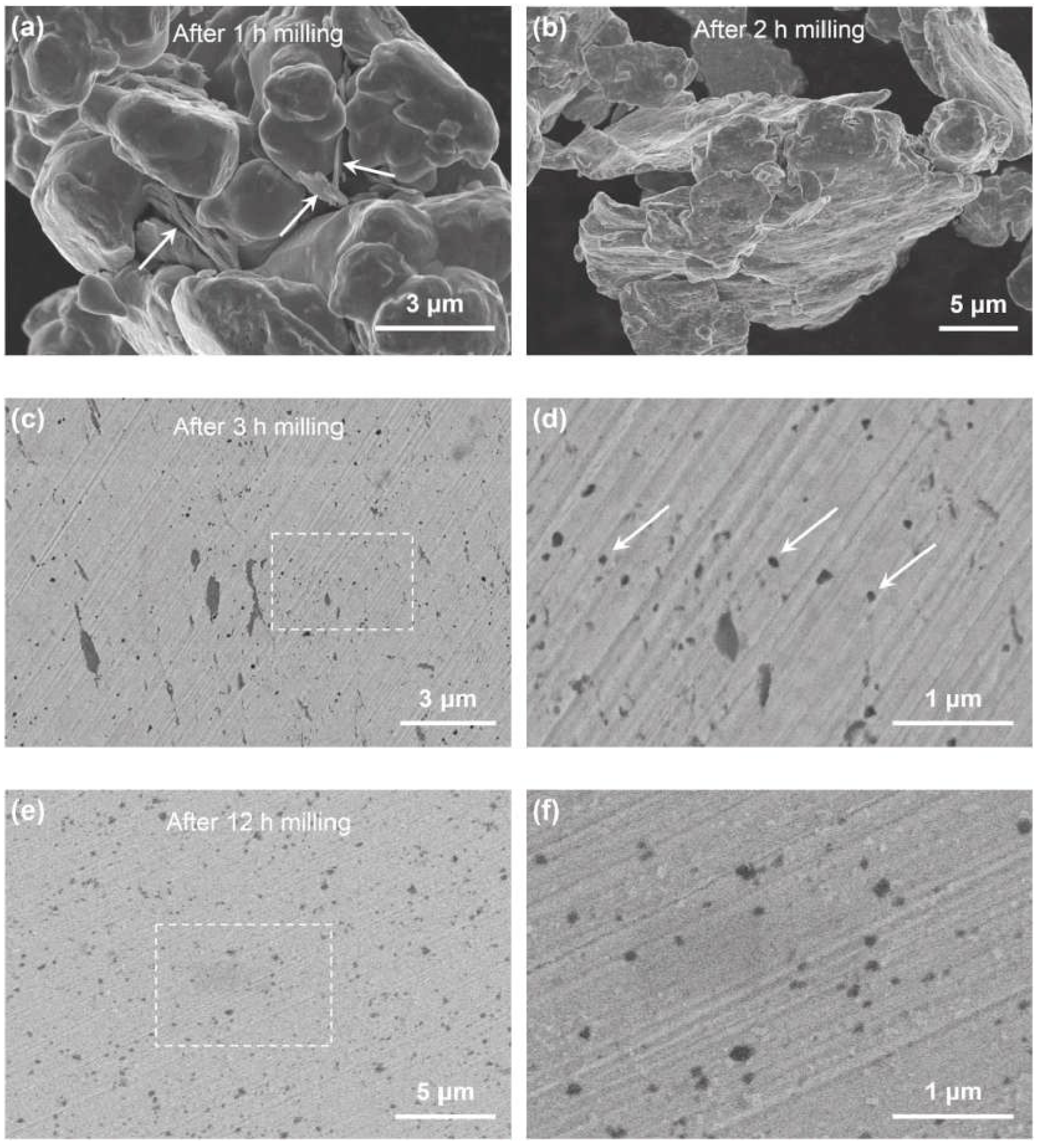 Coatings 12 00516 g025 550