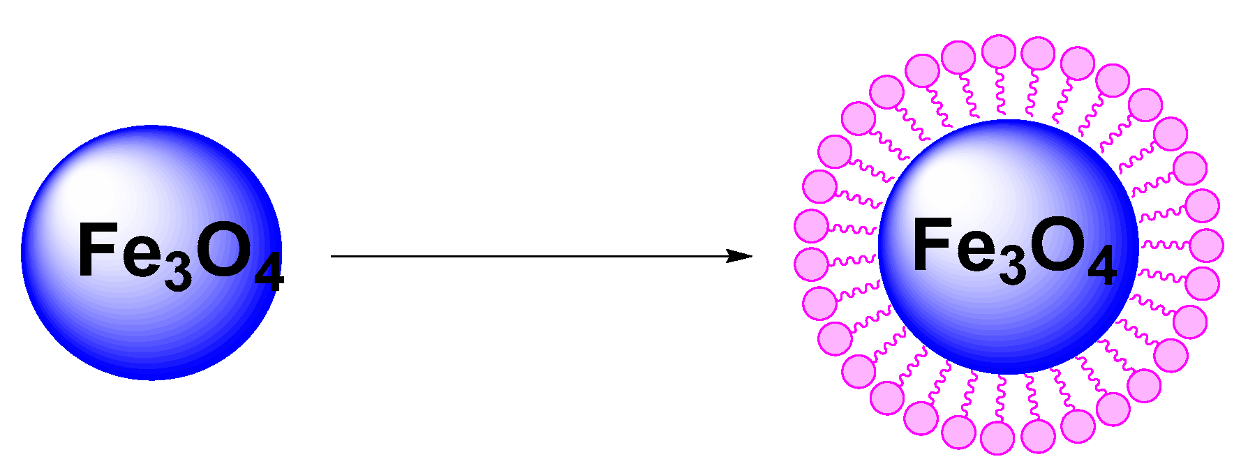 Coatings 12 00517 g002
