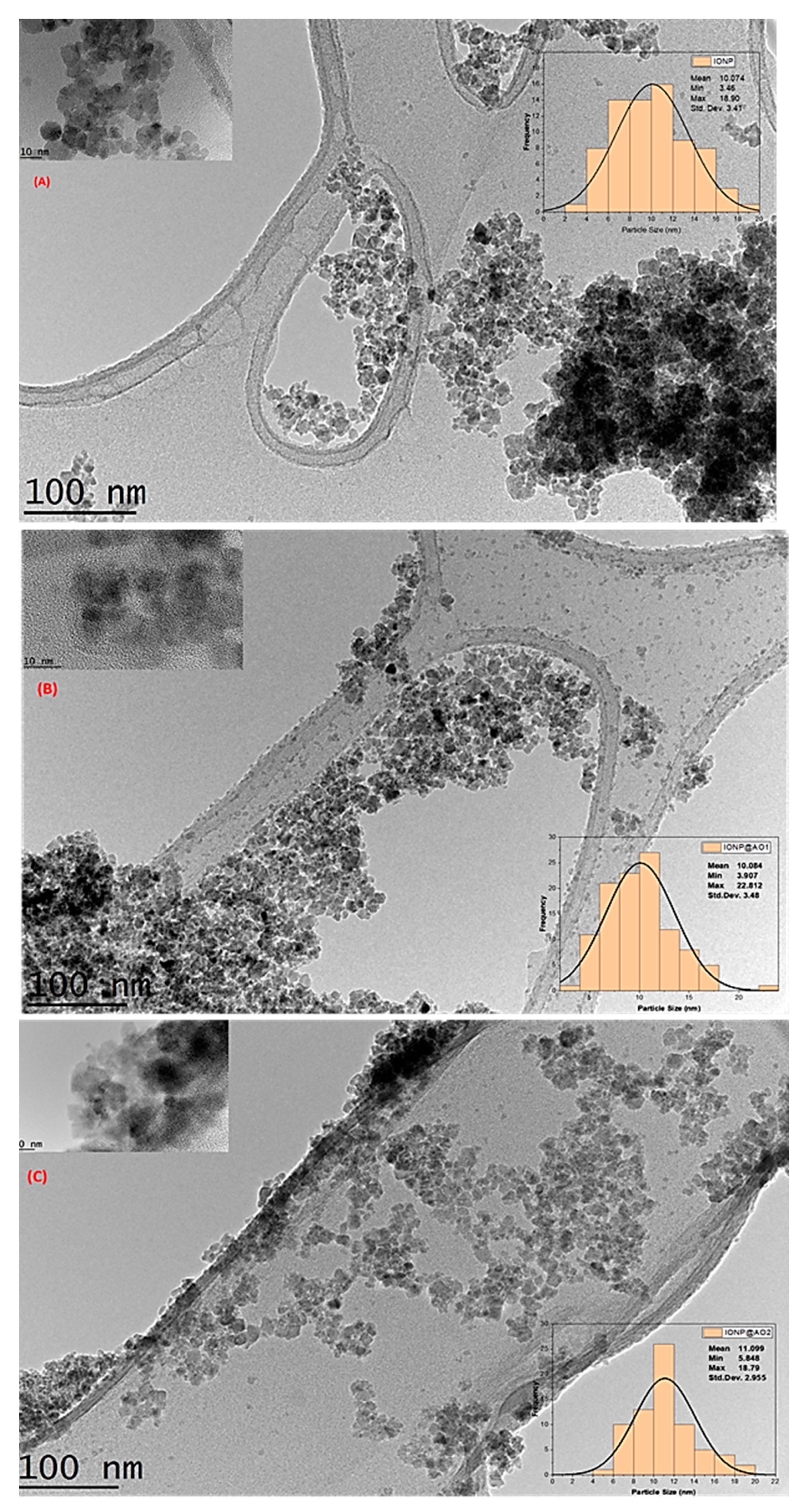 Coatings 12 00517 g007
