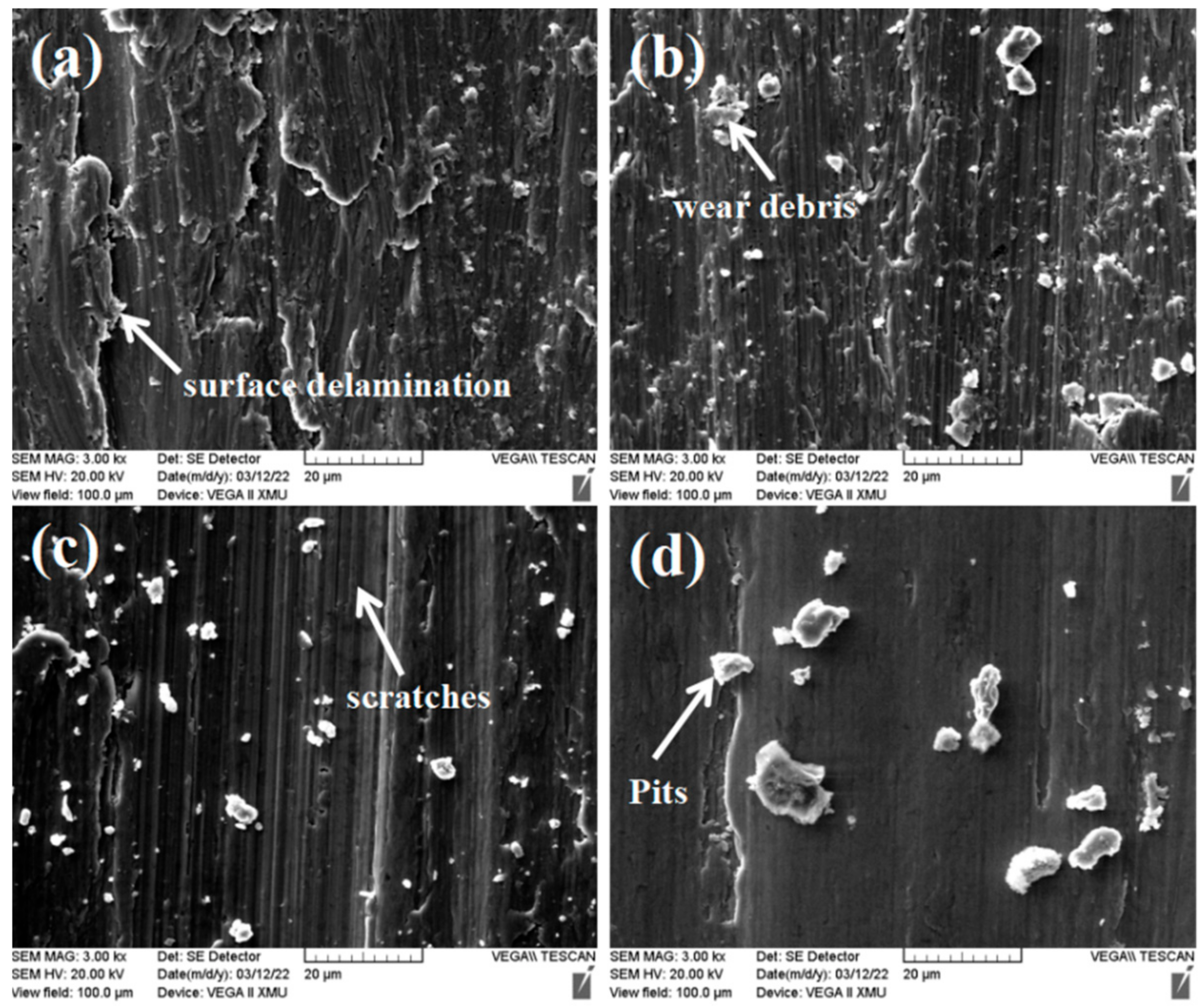 Coatings 12 00519 g006