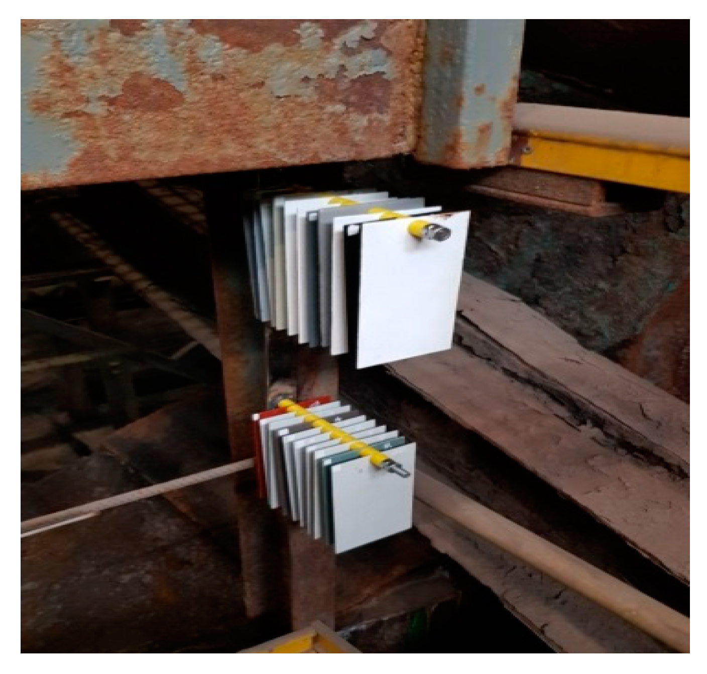 Coatings 12 00523 g005 550