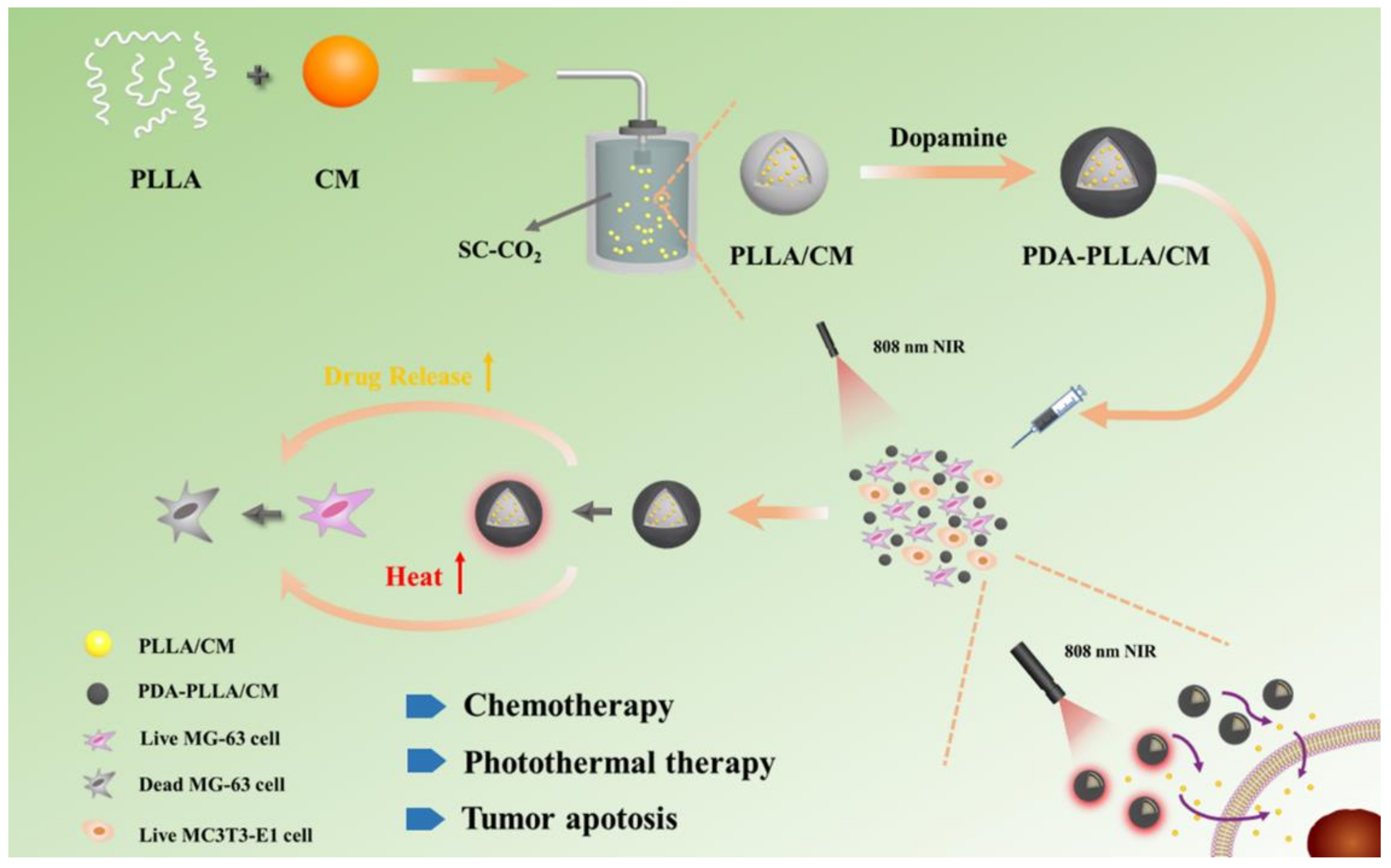 Coatings 12 00524 sch001 Coatings 12 00524 sch001