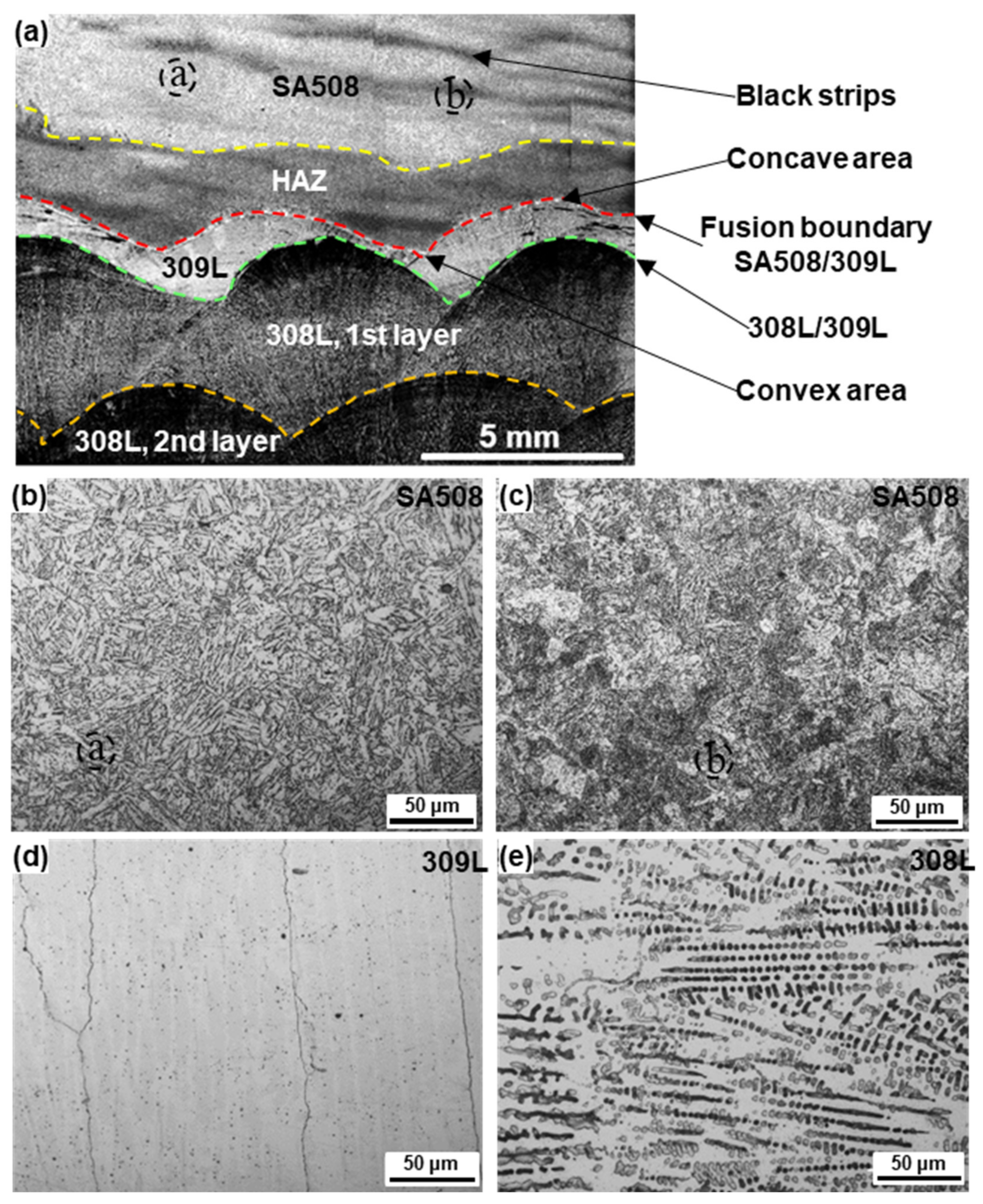 Coatings 12 00525 g002