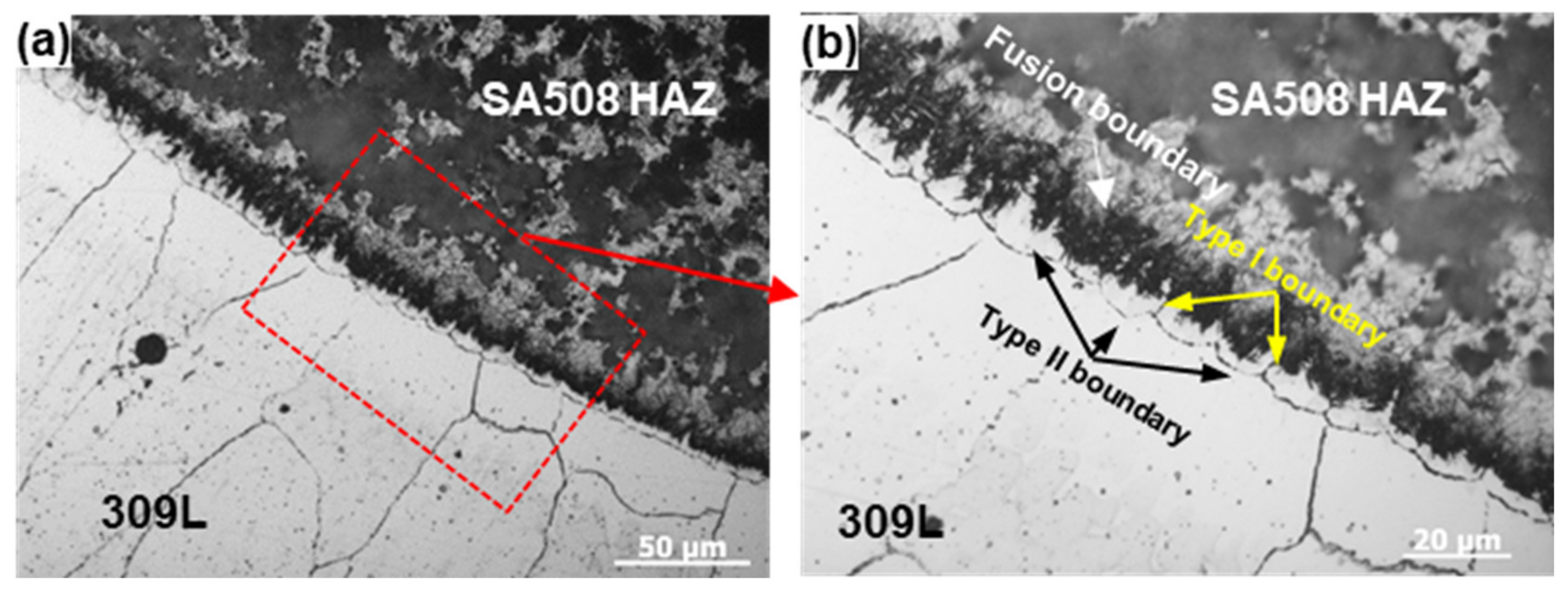 Coatings 12 00525 g003
