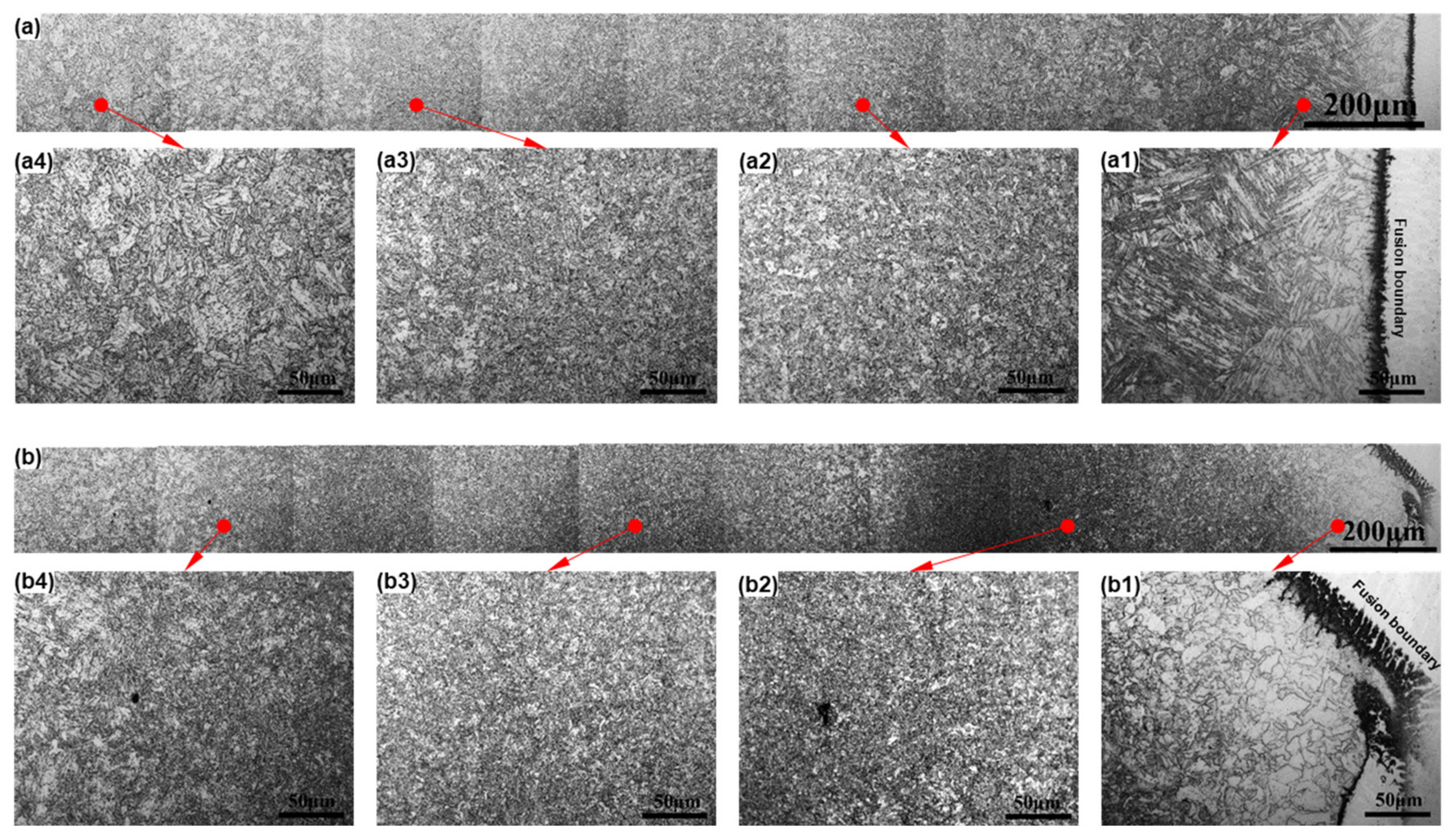 Coatings 12 00525 g006