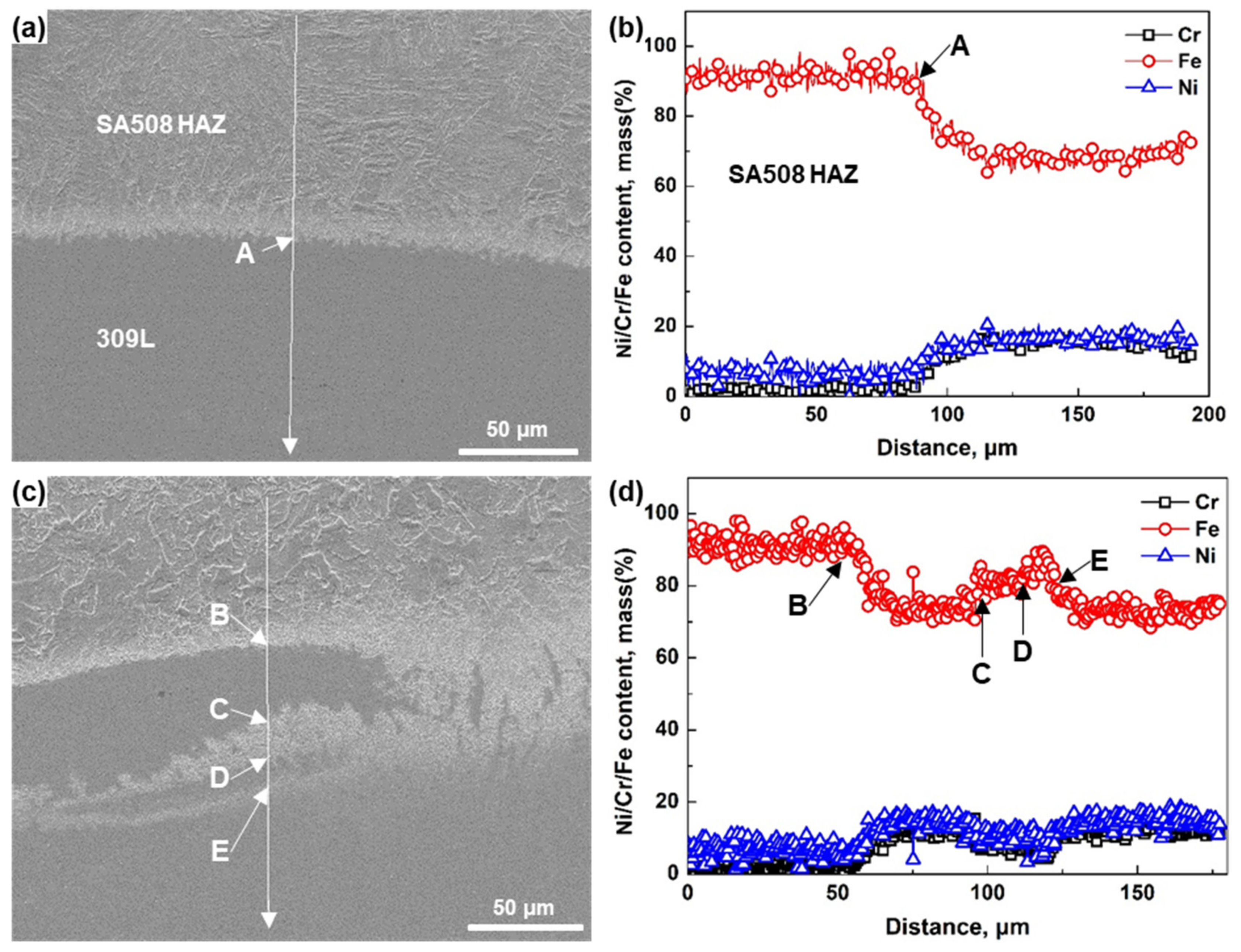 Coatings 12 00525 g007