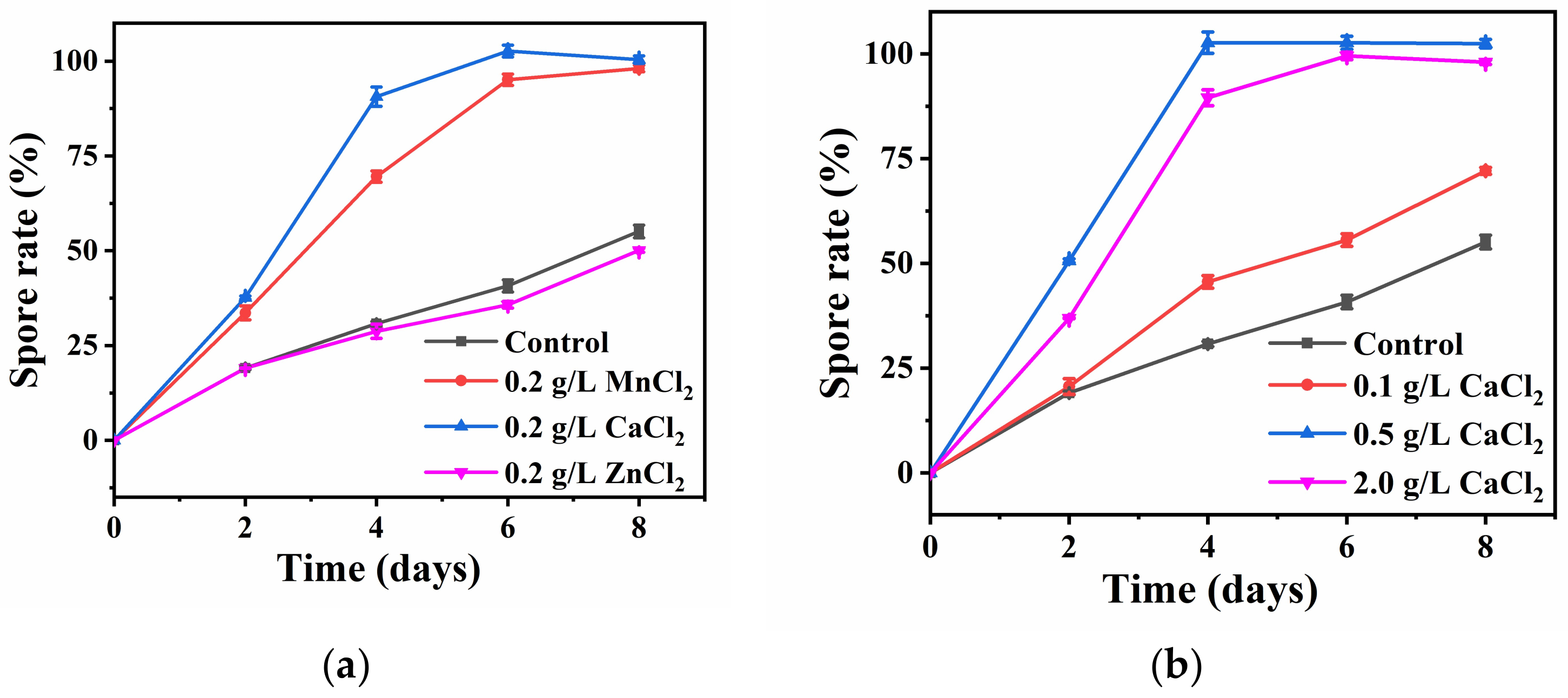 Coatings 12 00528 g002