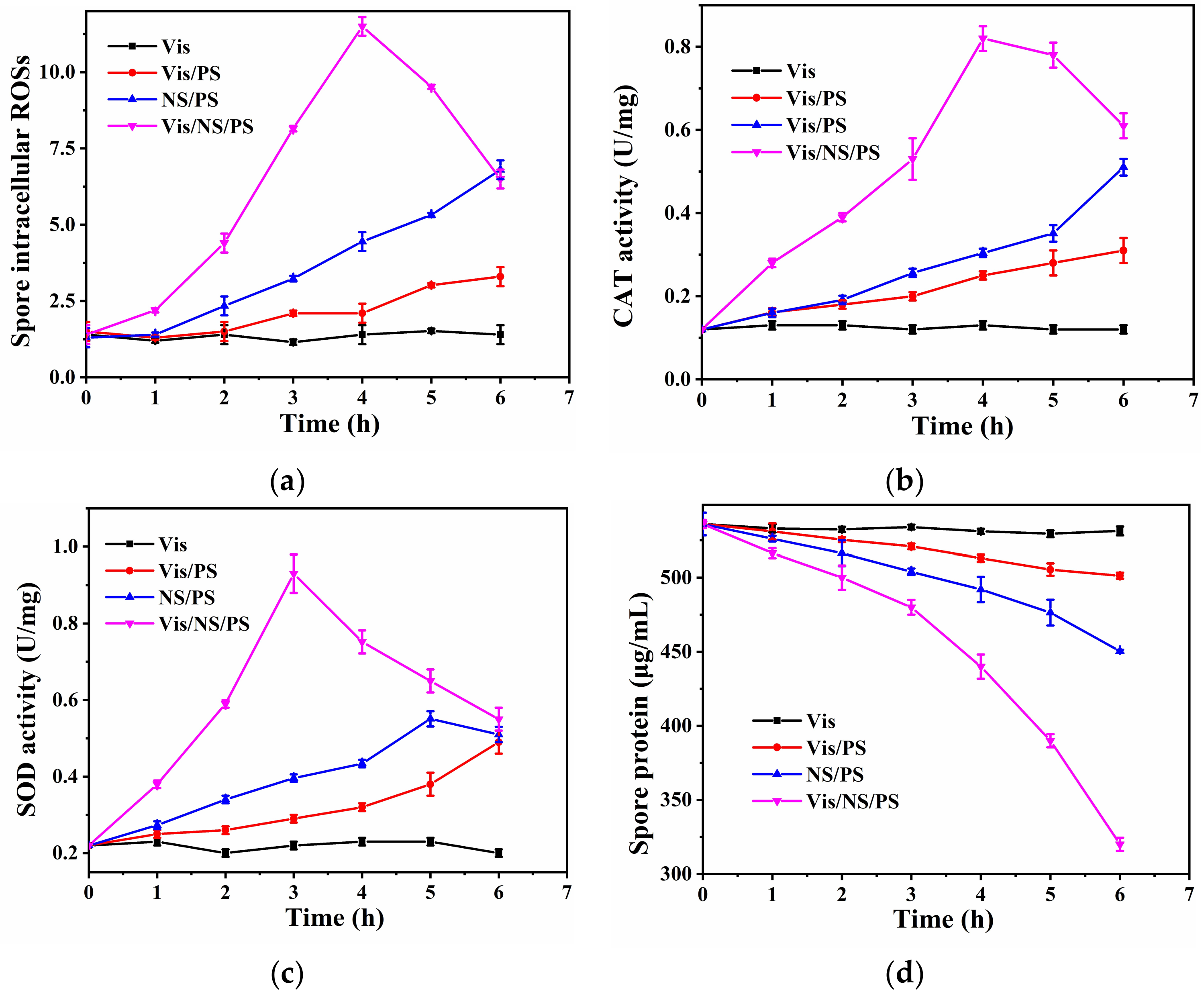 Coatings 12 00528 g005
