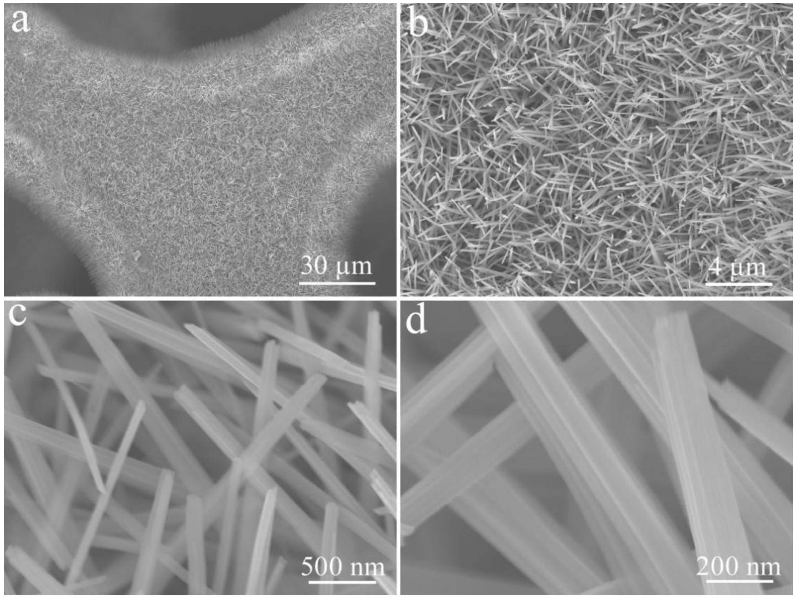 Coatings 12 00529 g002