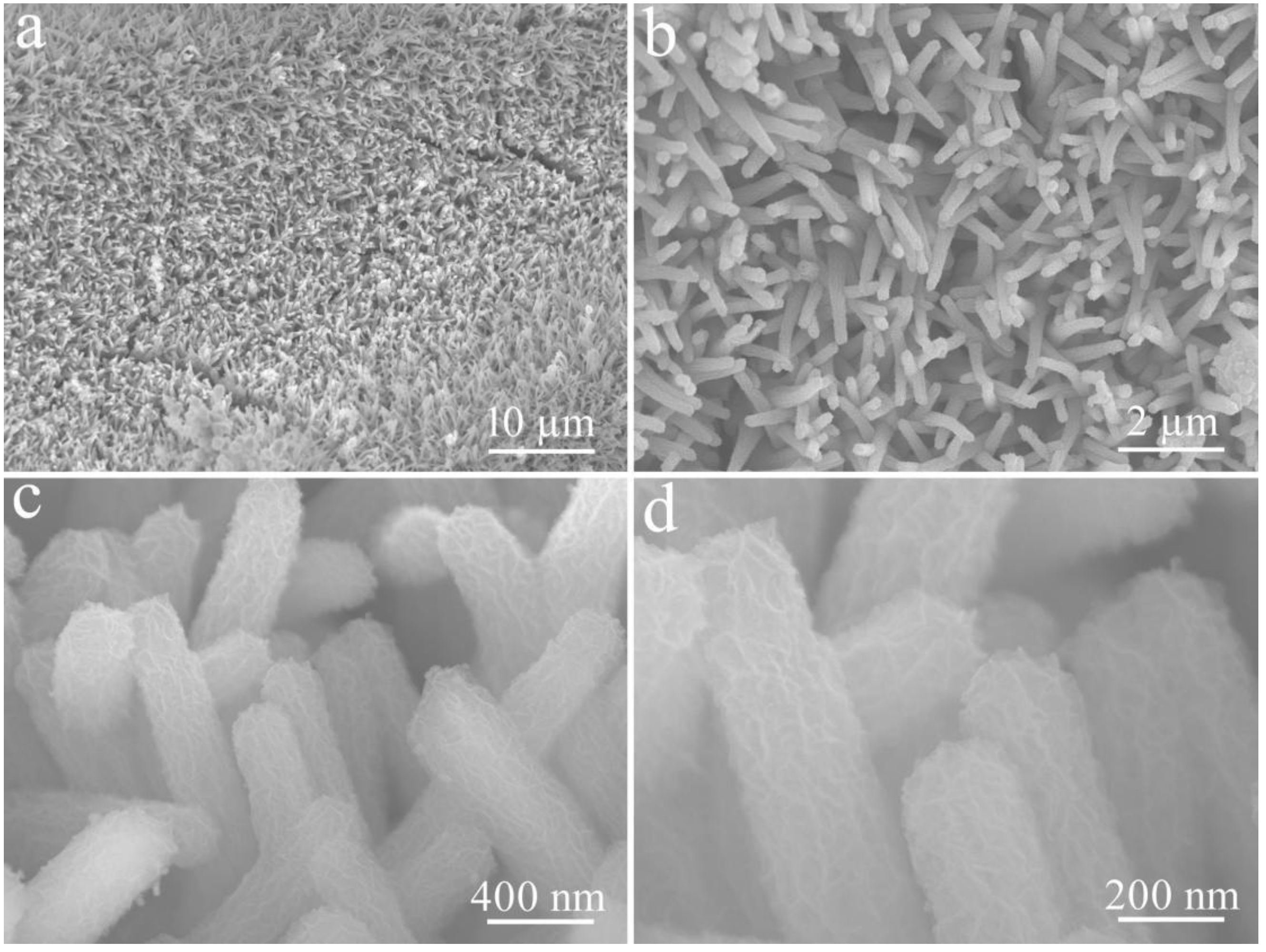 Coatings 12 00529 g003