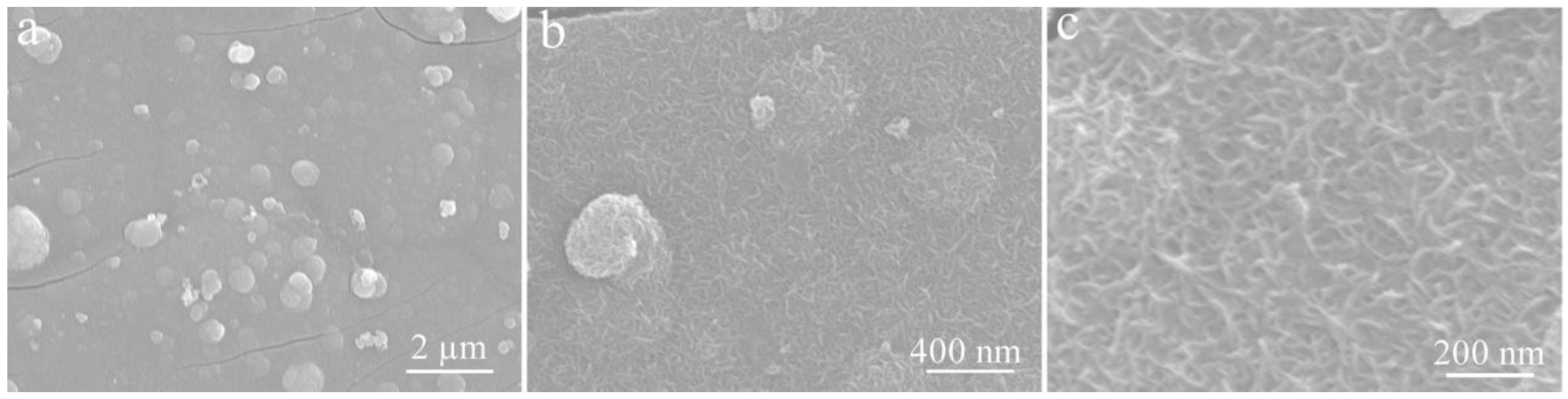 Coatings 12 00529 g006