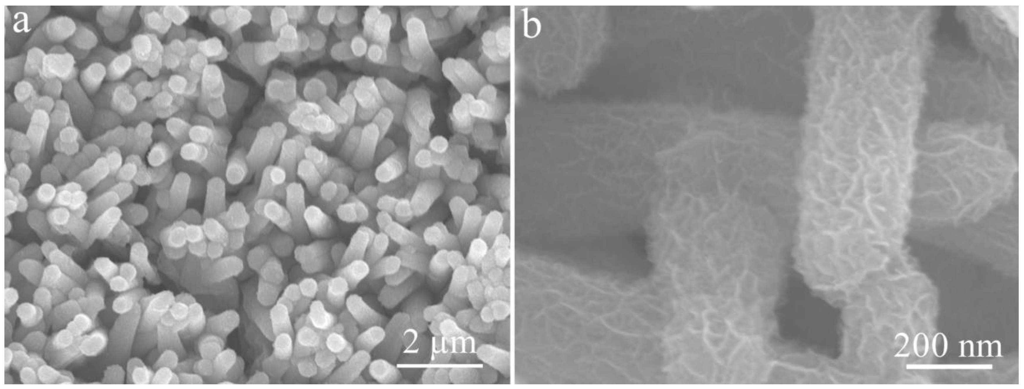 Coatings 12 00529 g012