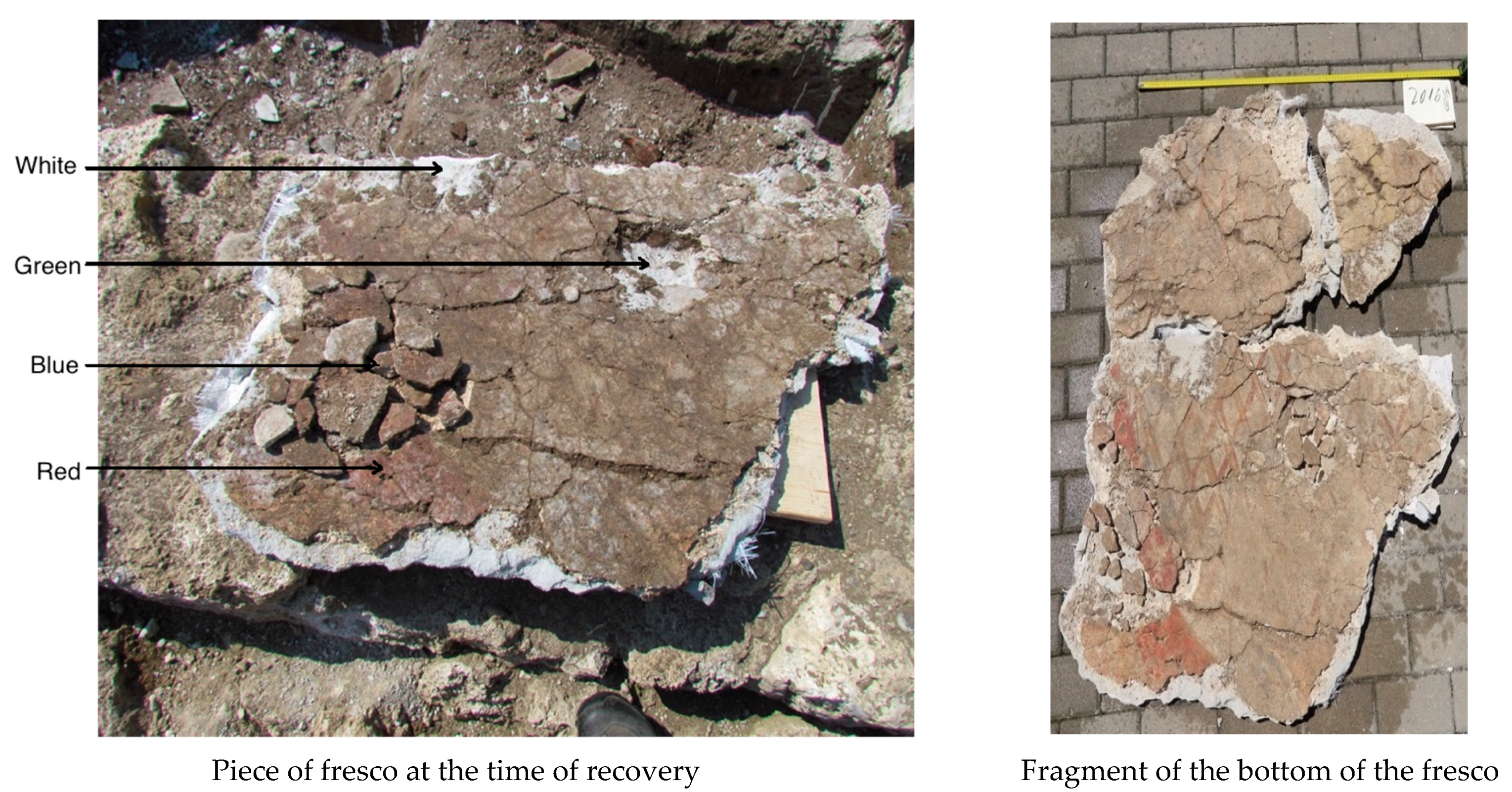 Coatings 12 00530 g001