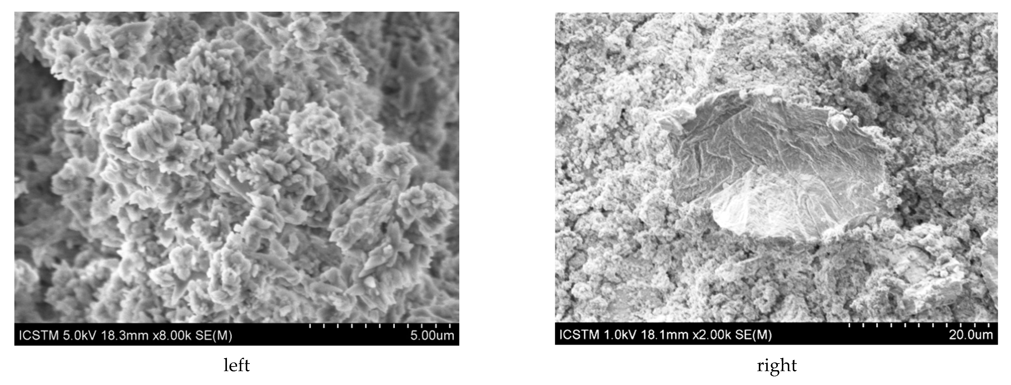 Coatings 12 00530 g006