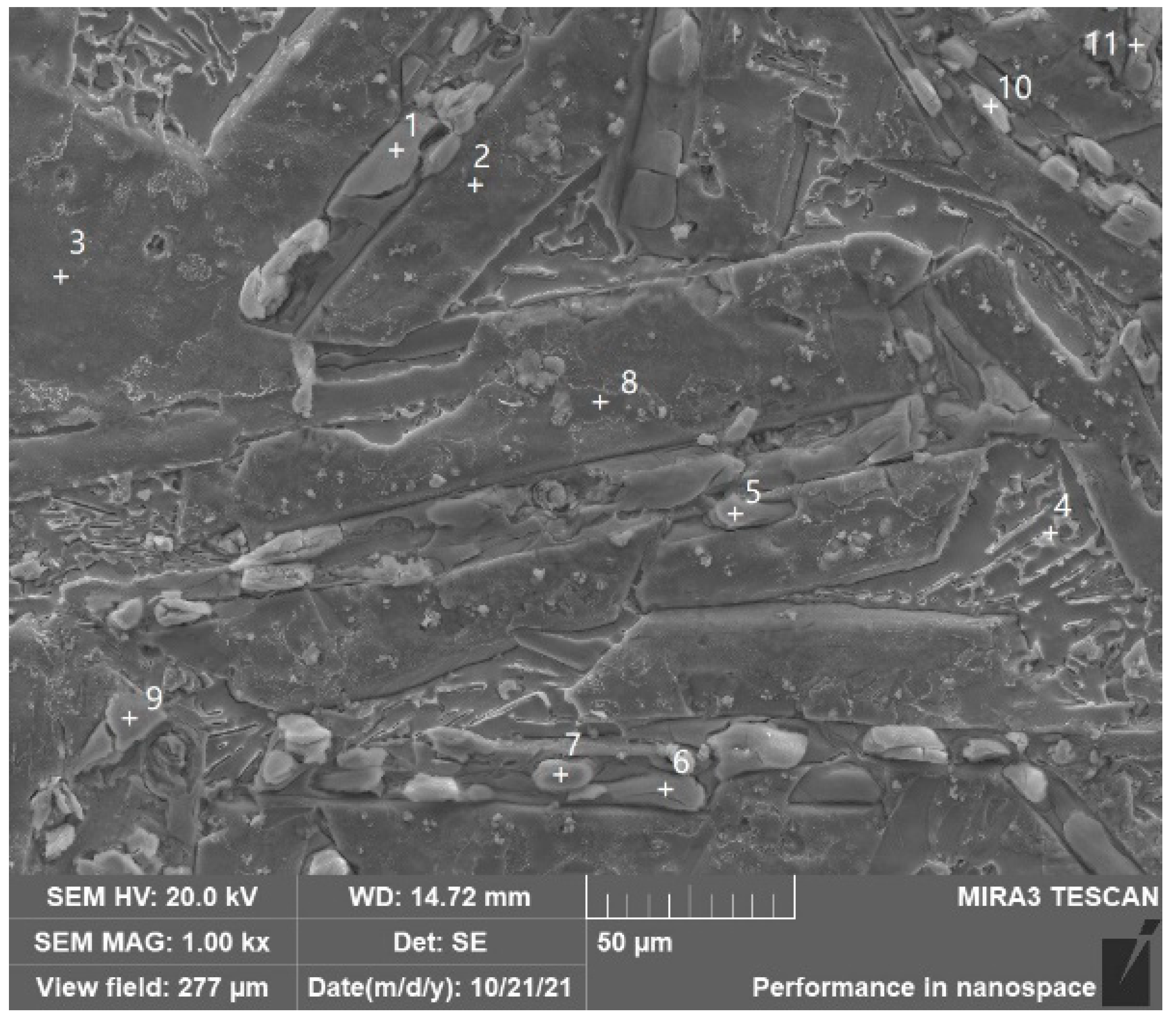 Coatings 12 00531 g009 550