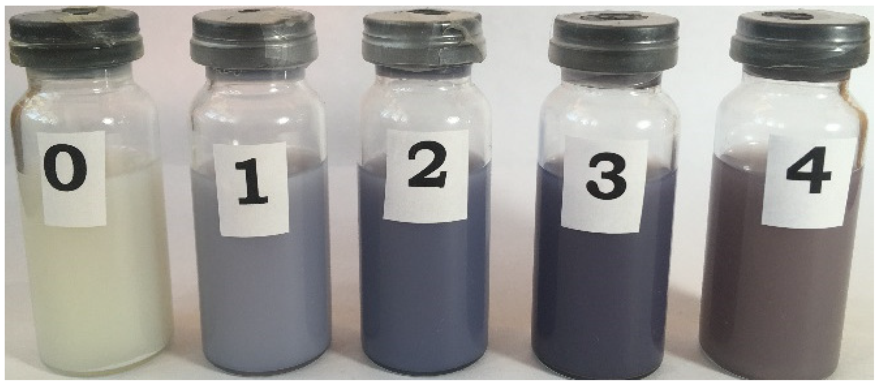 Coatings 12 00532 g004