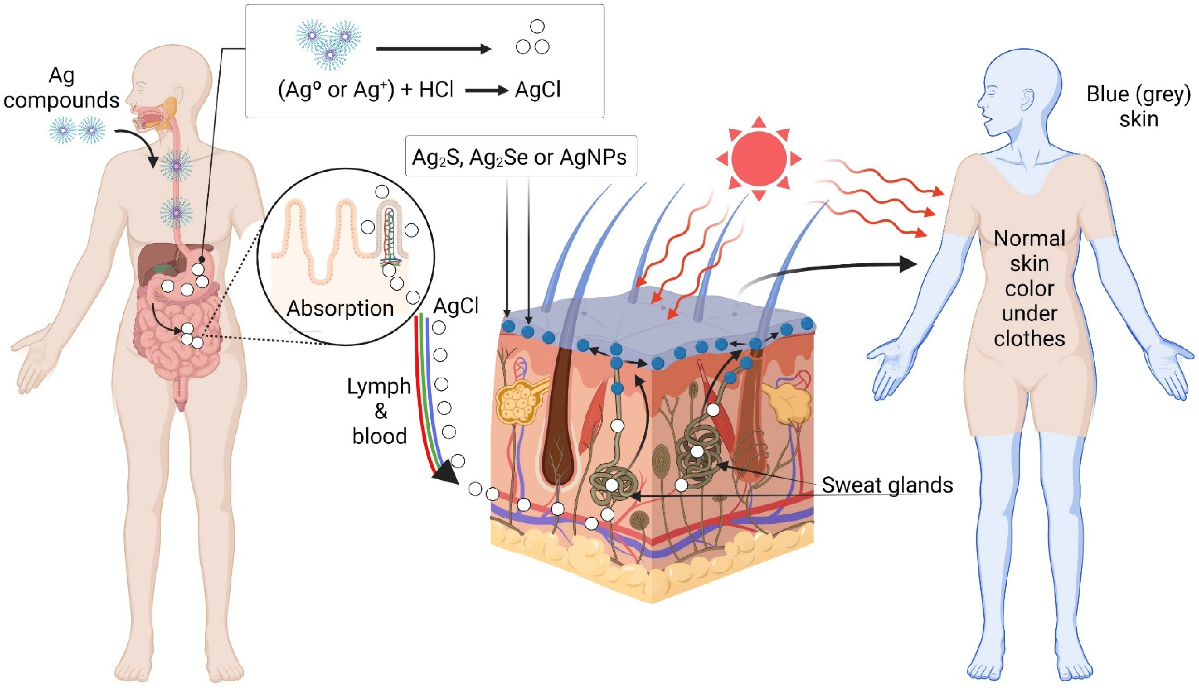 Coatings 12 00532 g006