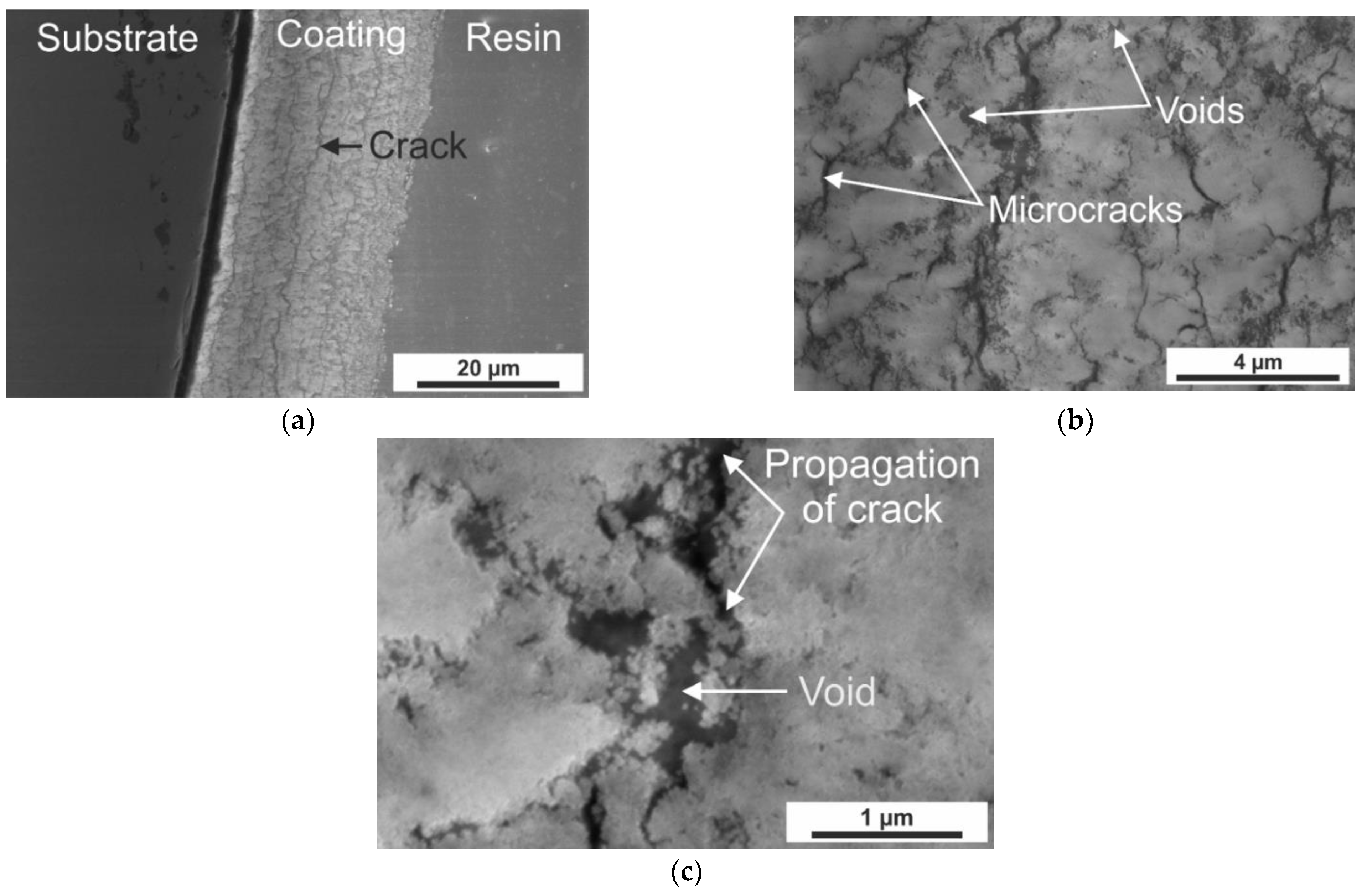 Coatings 12 00535 g004