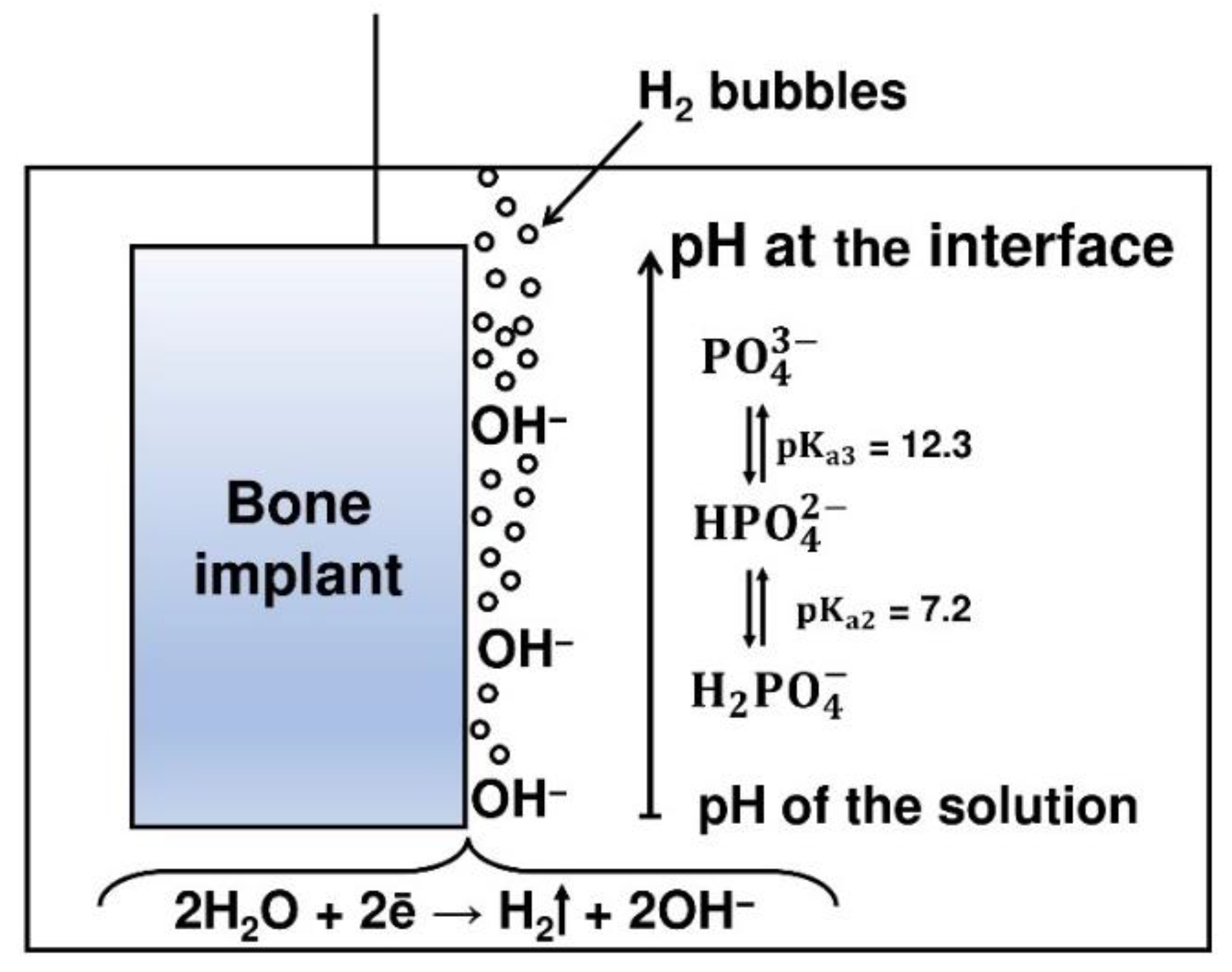 Coatings 12 00539 g003