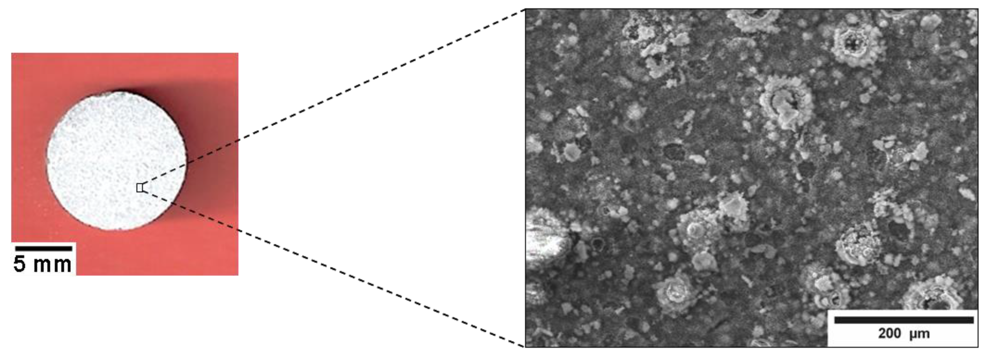 Coatings 12 00539 g009
