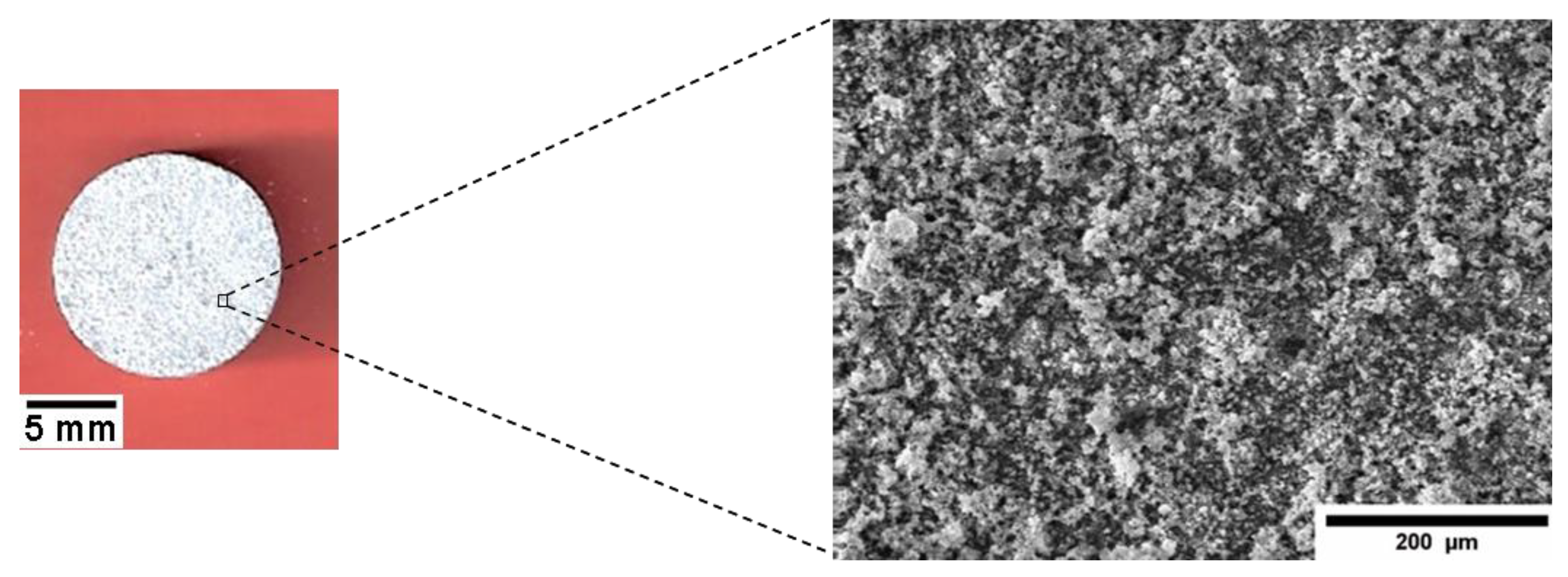 Coatings 12 00539 g011