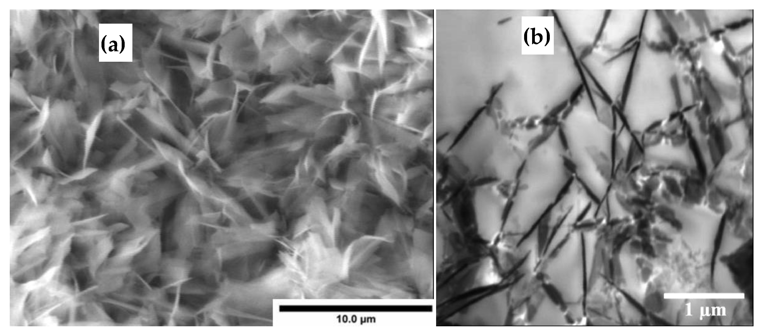Coatings 12 00539 g012