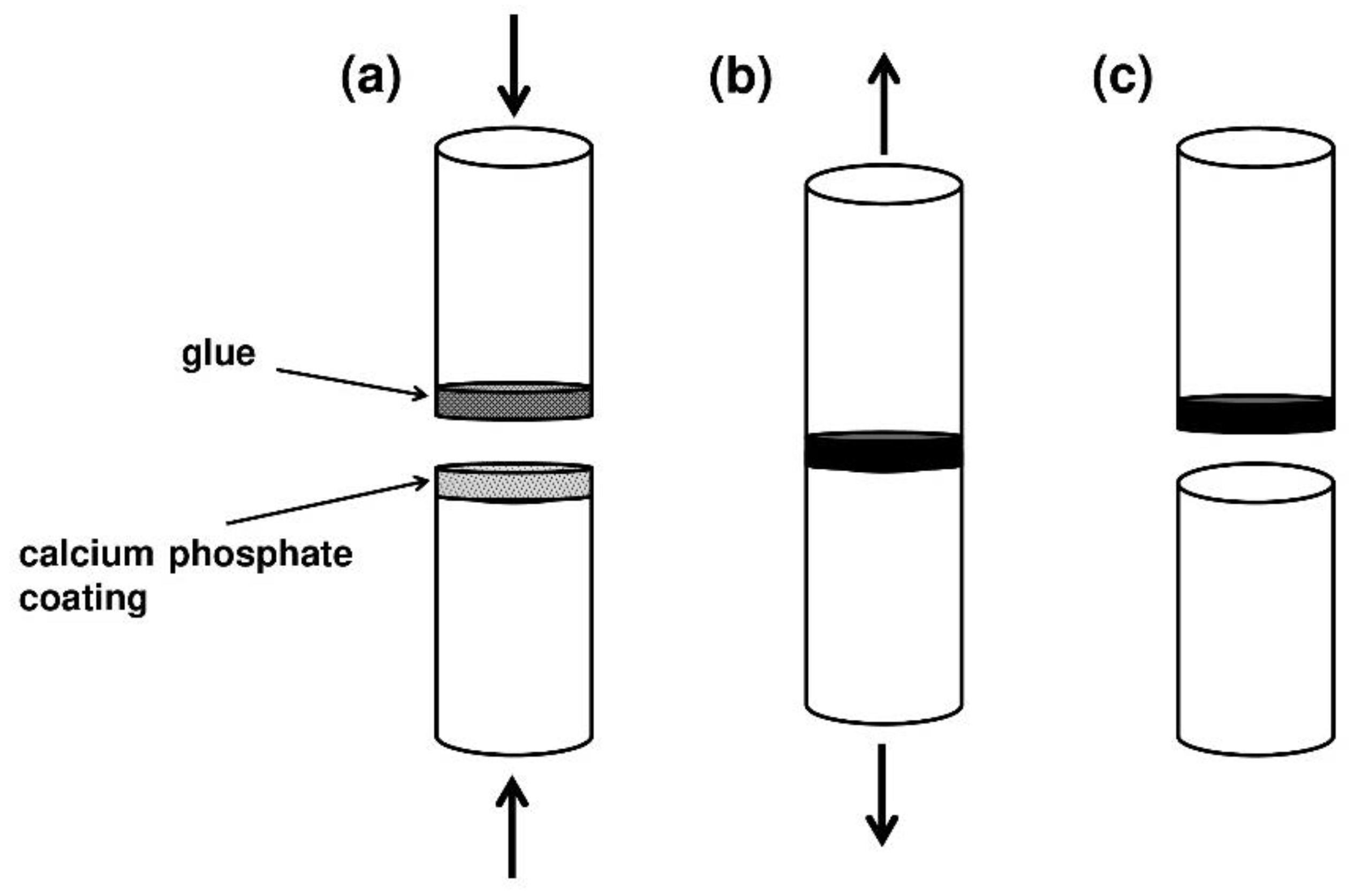 Coatings 12 00539 g014