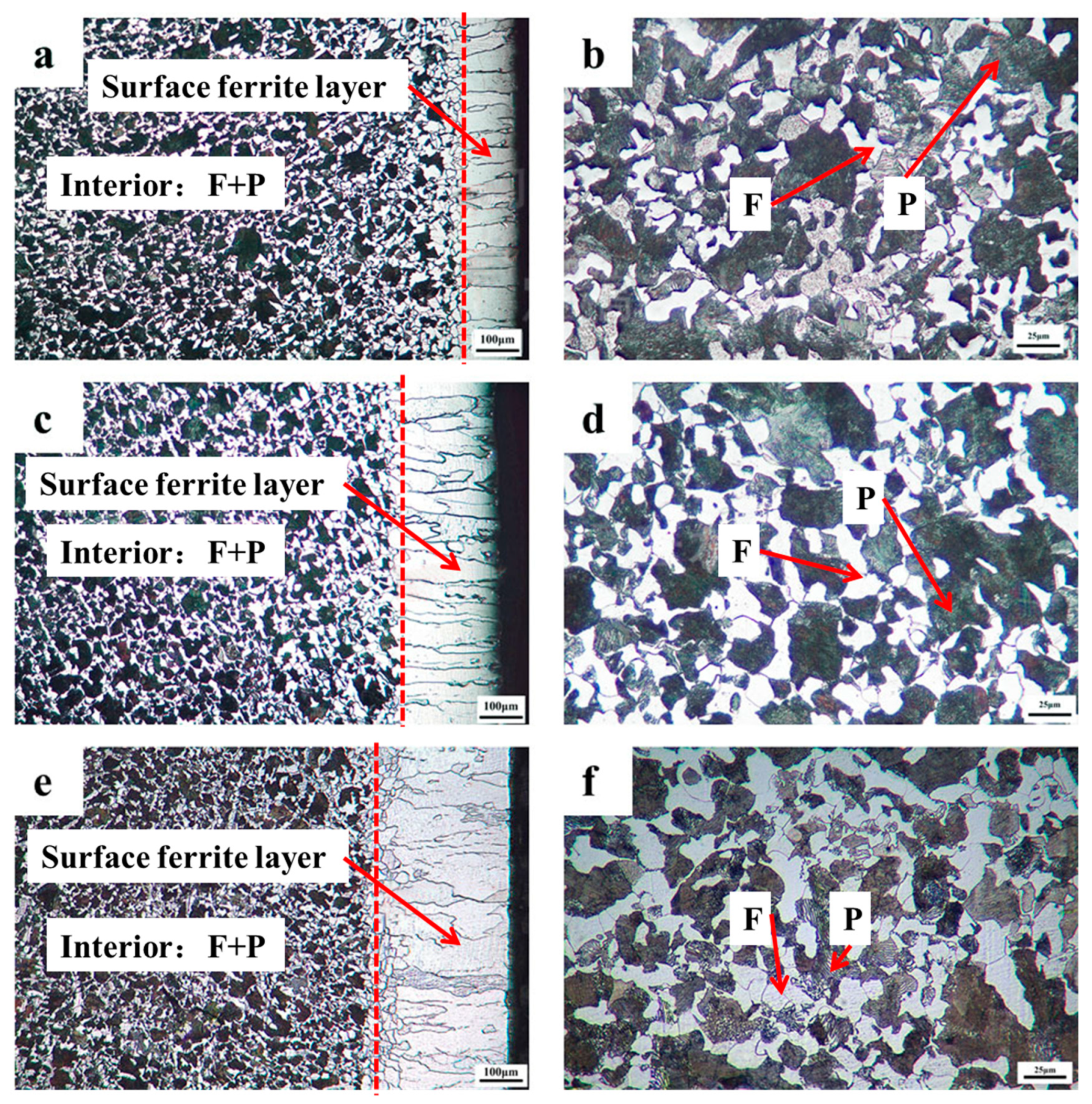 Coatings 12 00541 g002 550