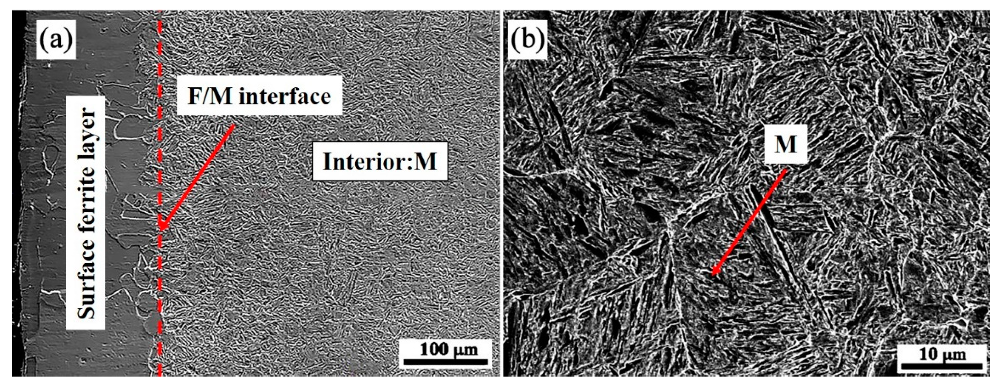 Coatings 12 00541 g004 550