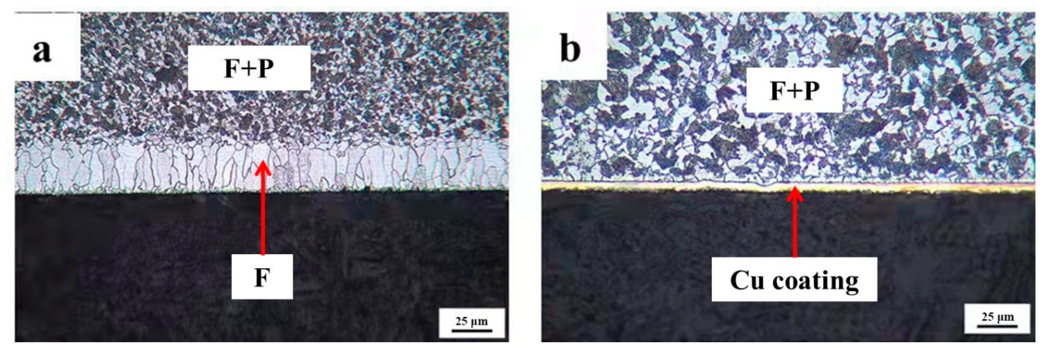 Coatings 12 00541 g008 550