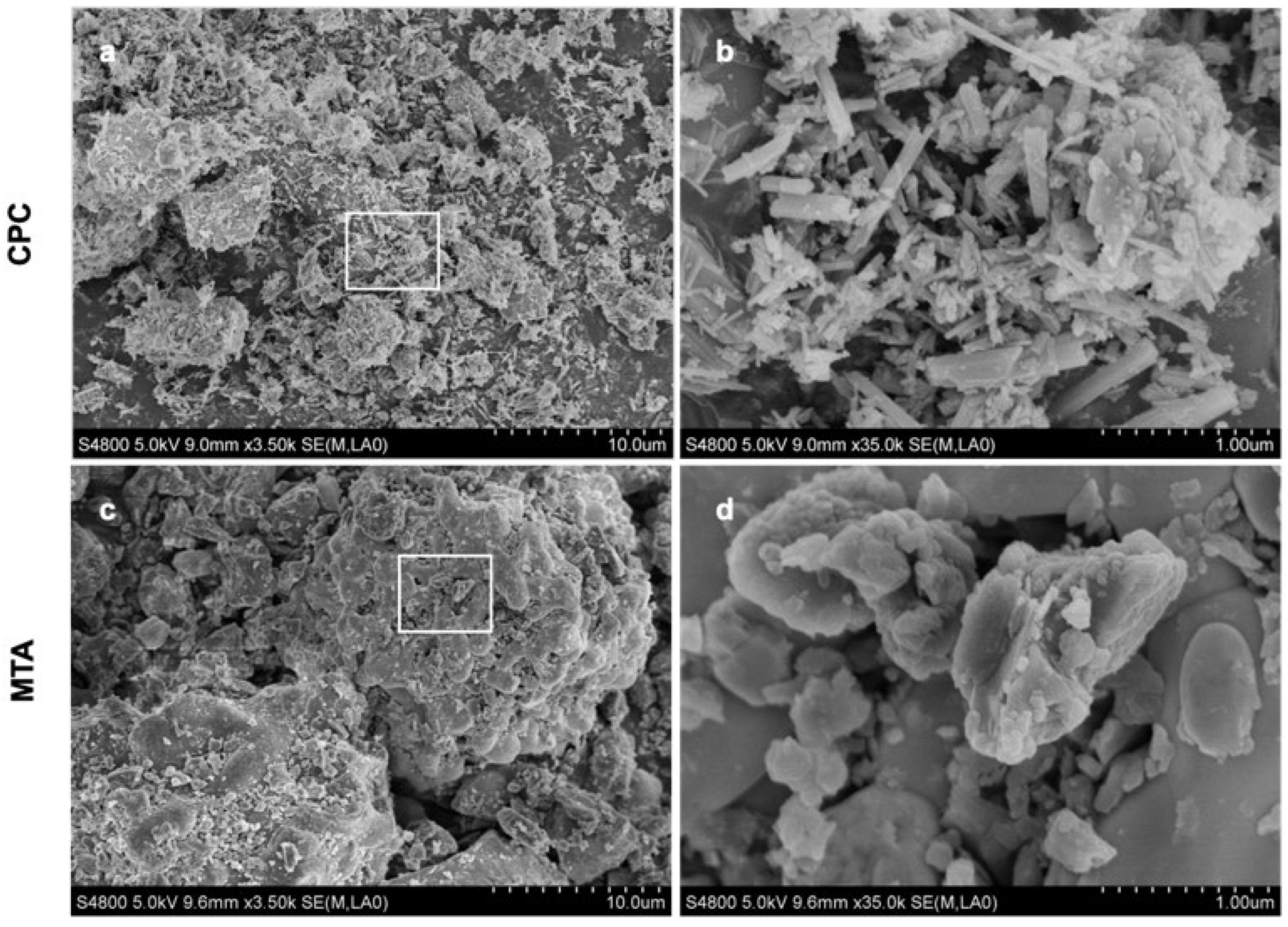 Coatings 12 00543 g001