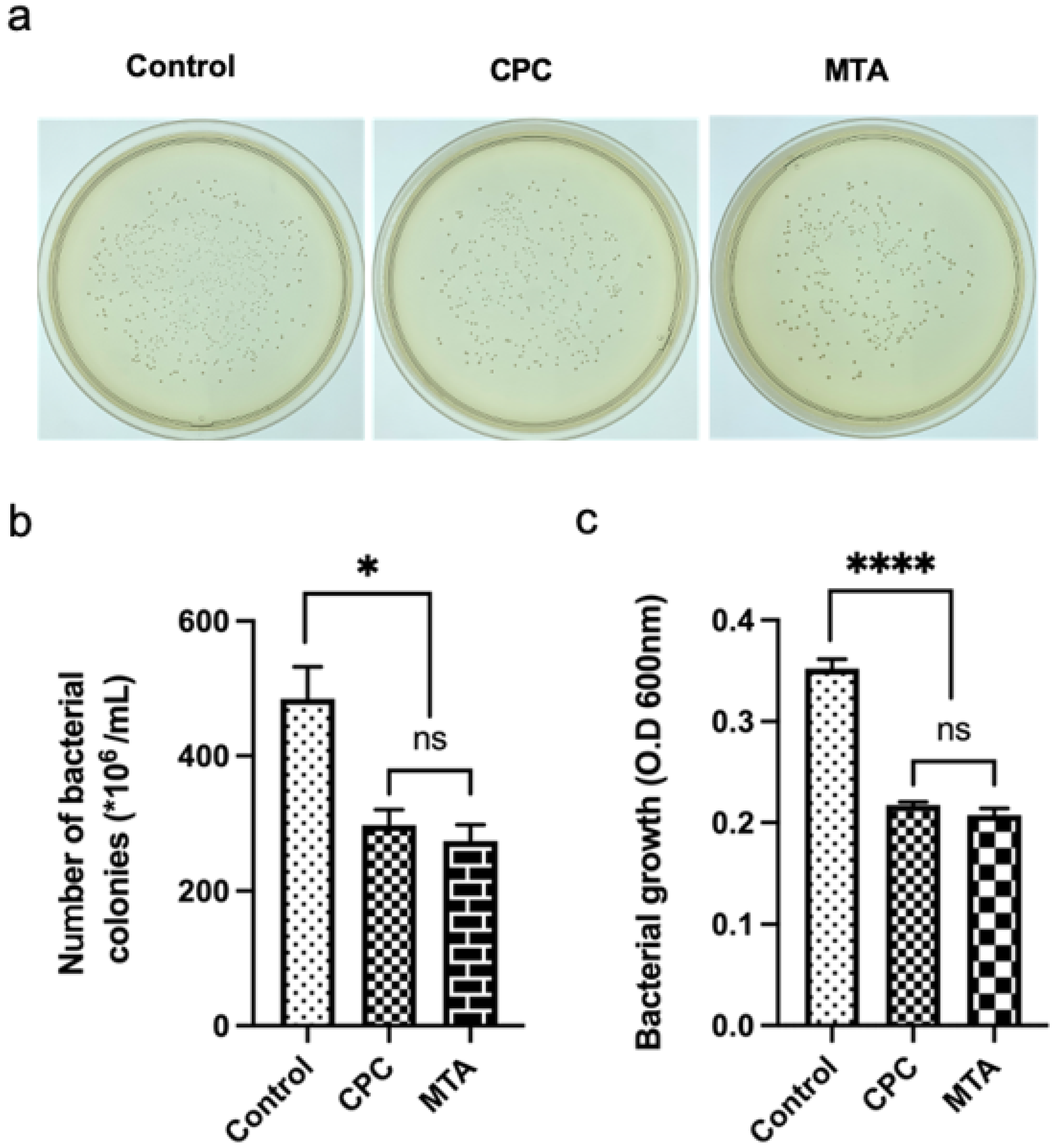 Coatings 12 00543 g002