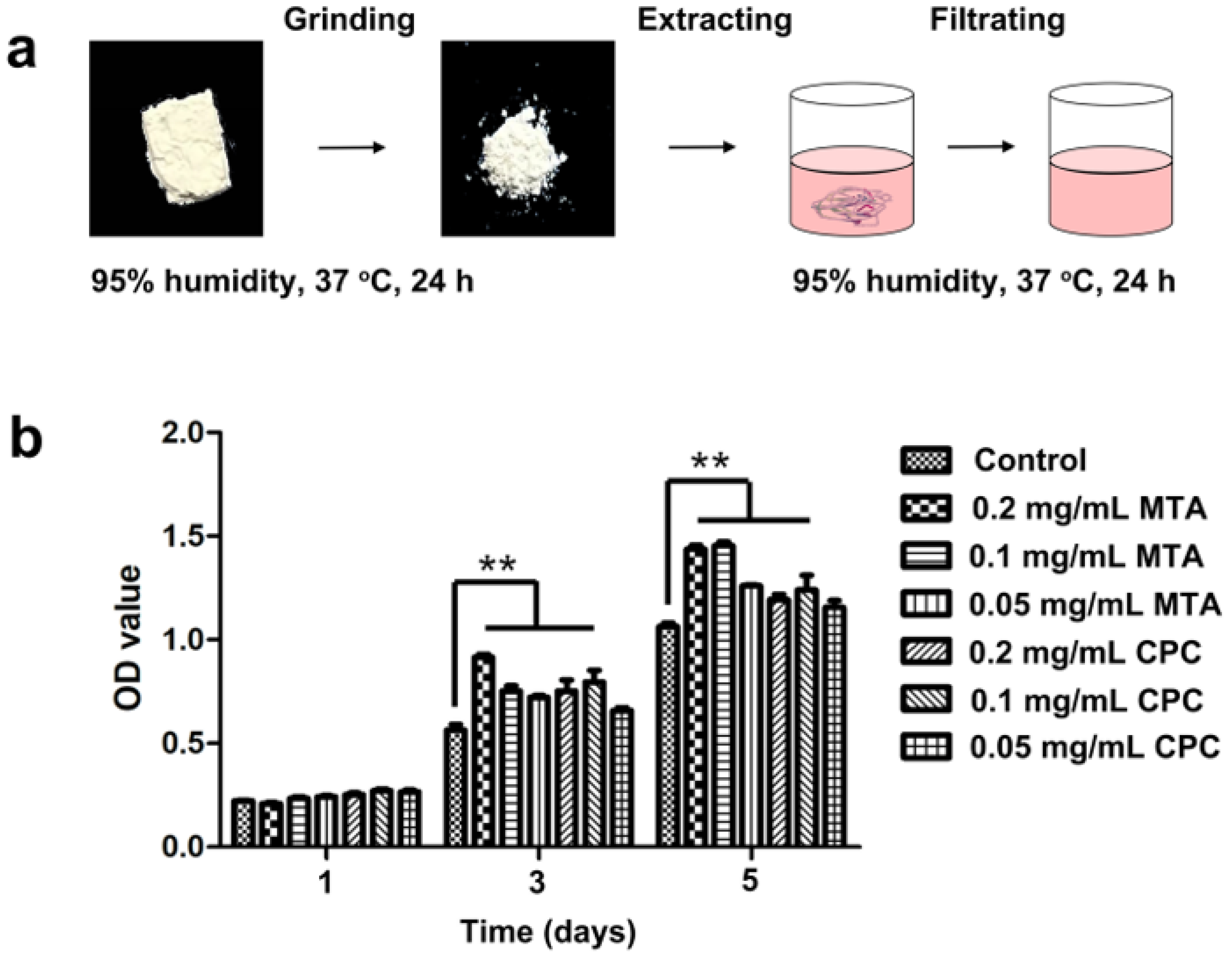 Coatings 12 00543 g003
