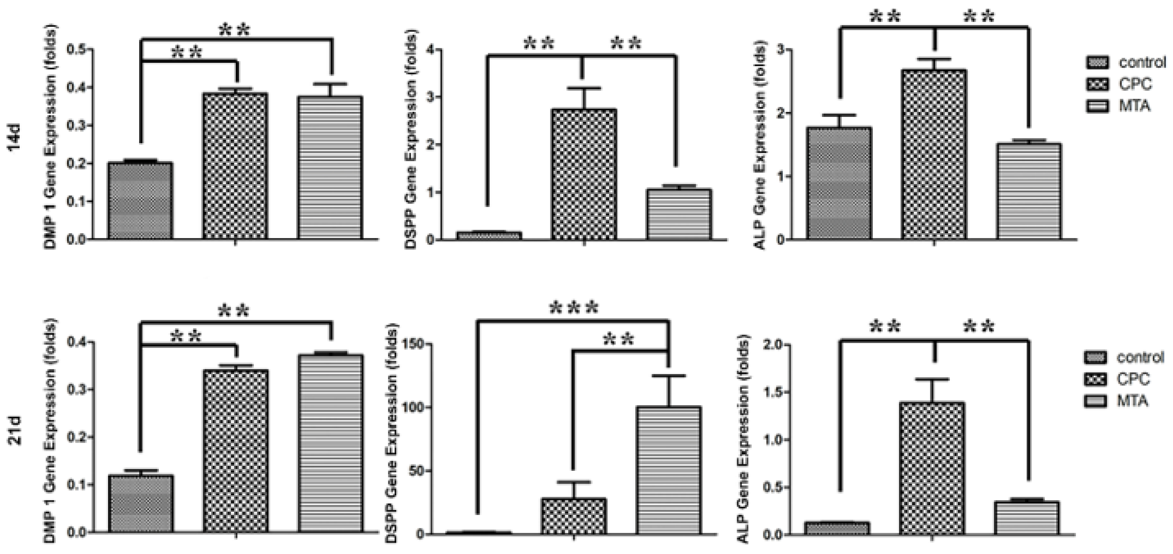 Coatings 12 00543 g005