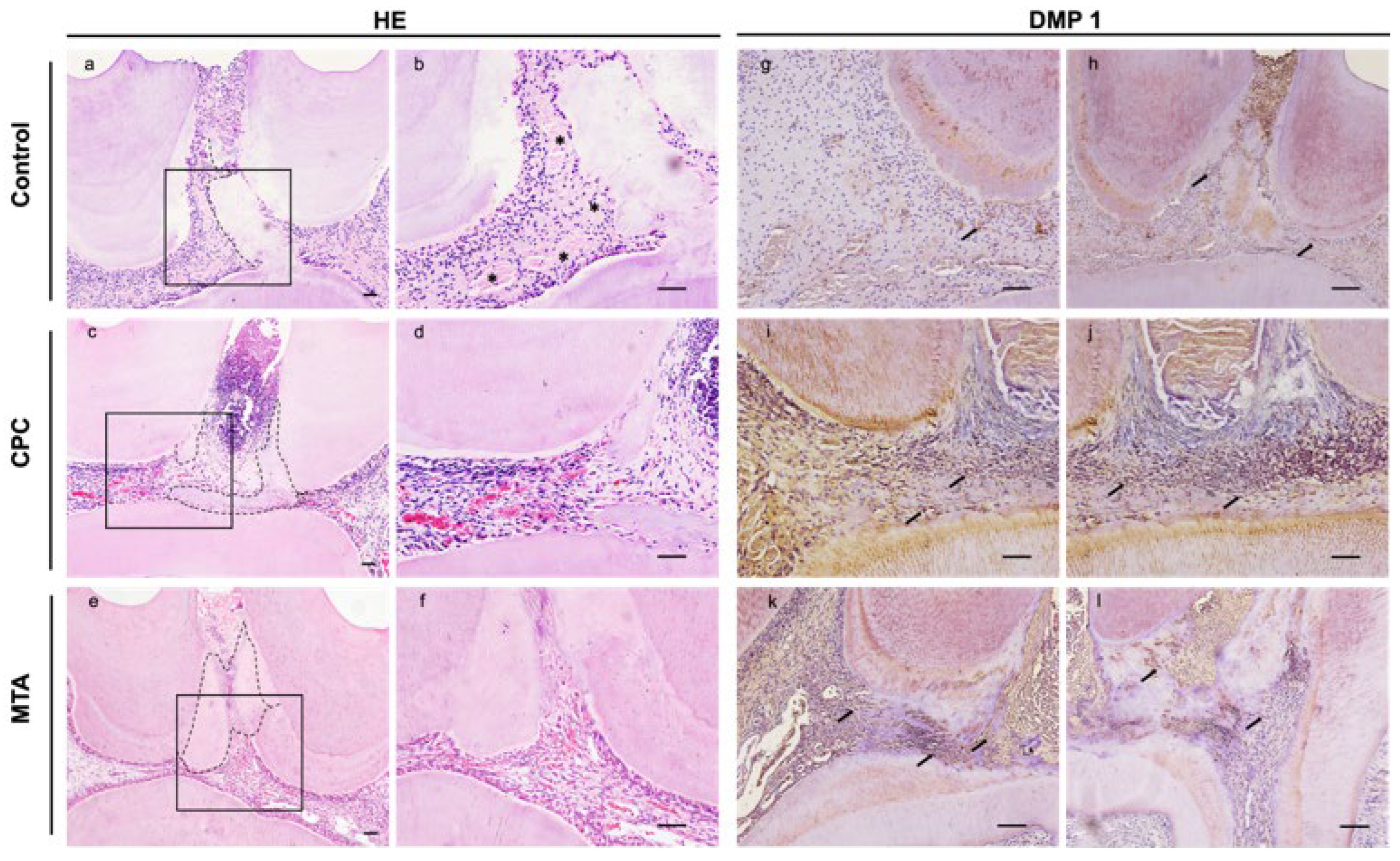 Coatings 12 00543 g006