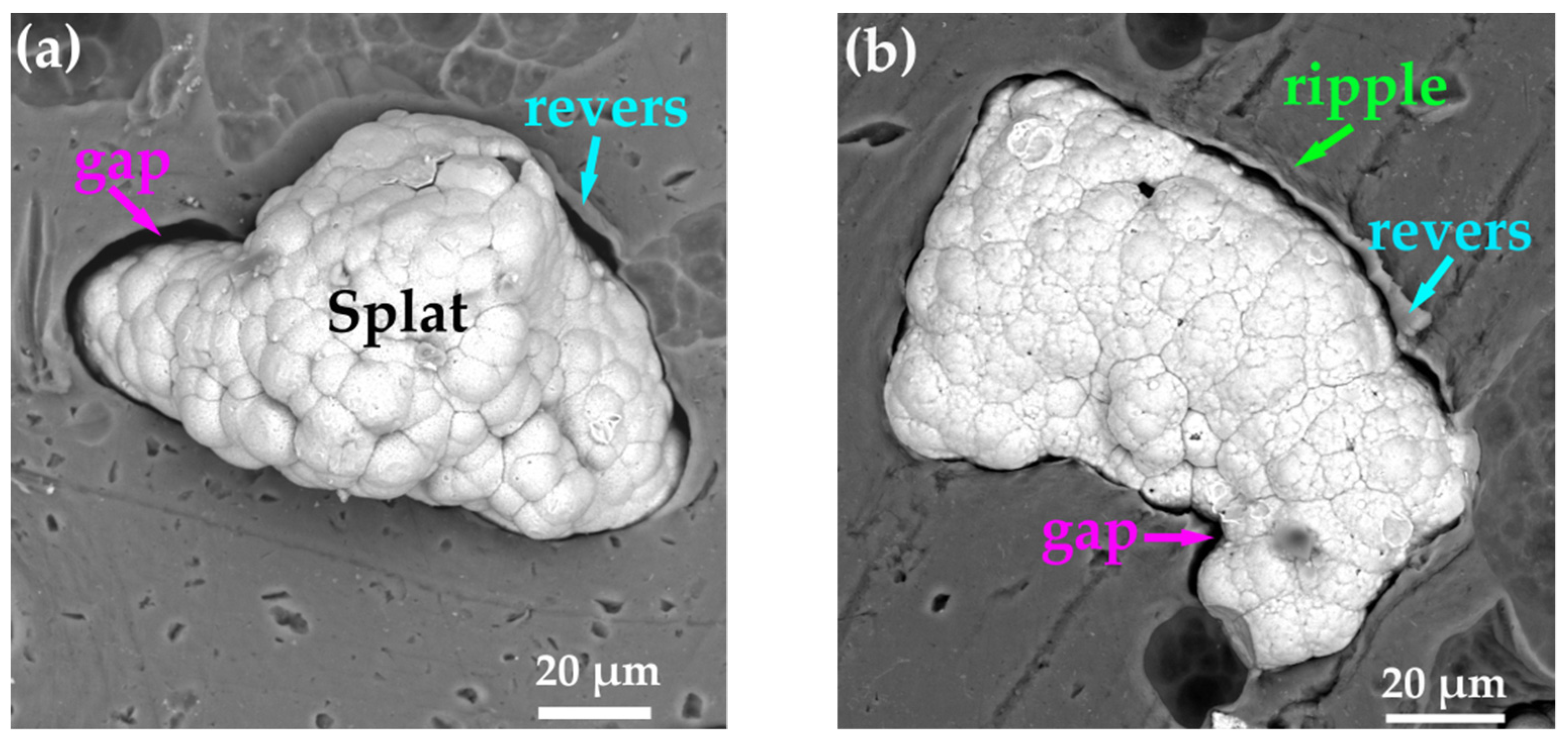 Coatings 12 00544 g004 550