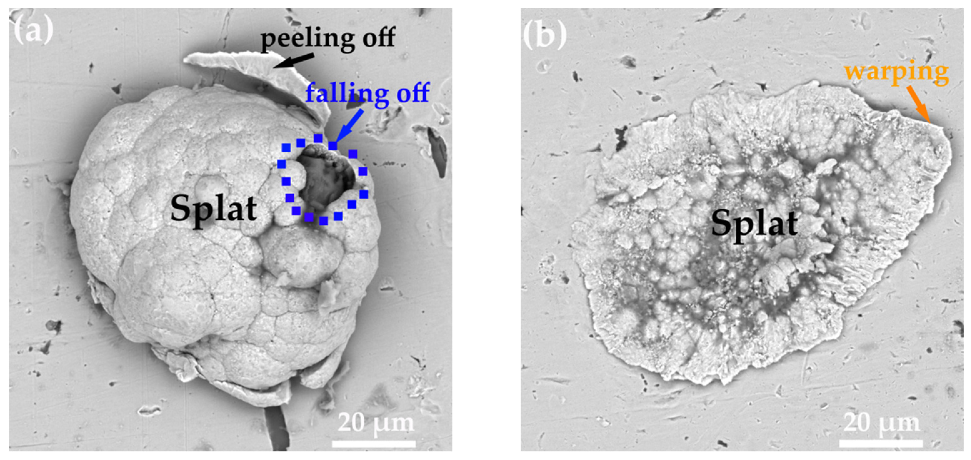 Coatings 12 00544 g005 550