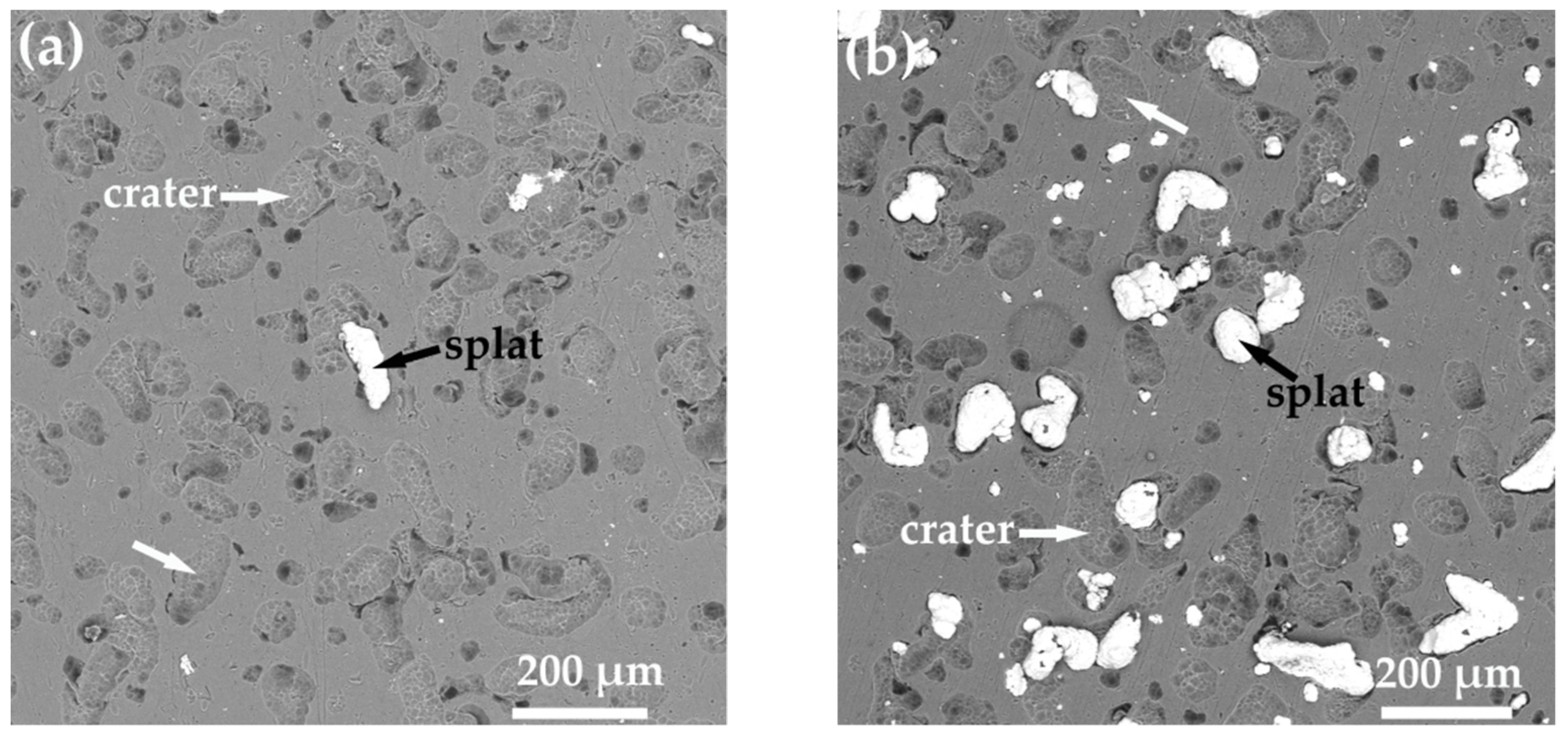 Coatings 12 00544 g008 550