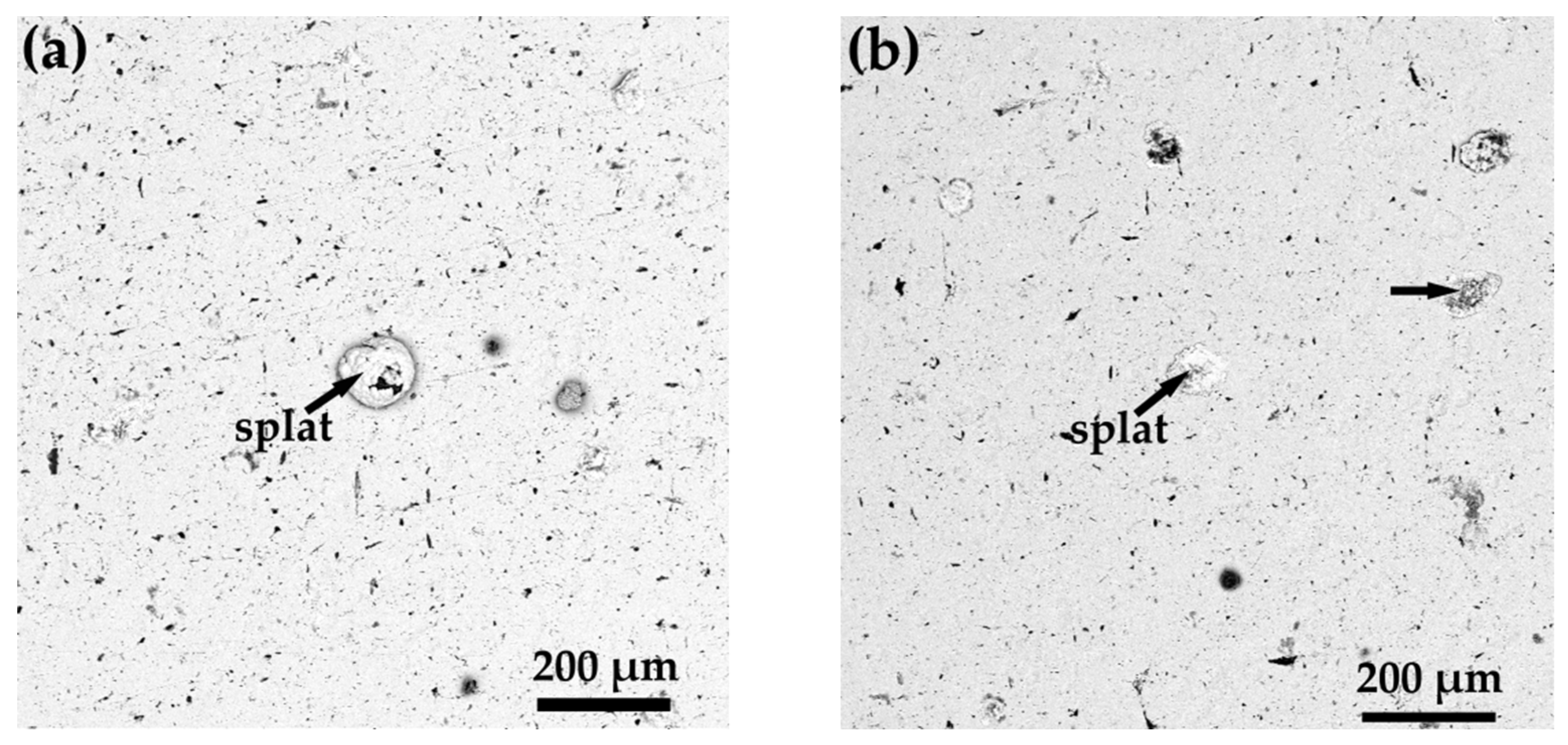 Coatings 12 00544 g010 550