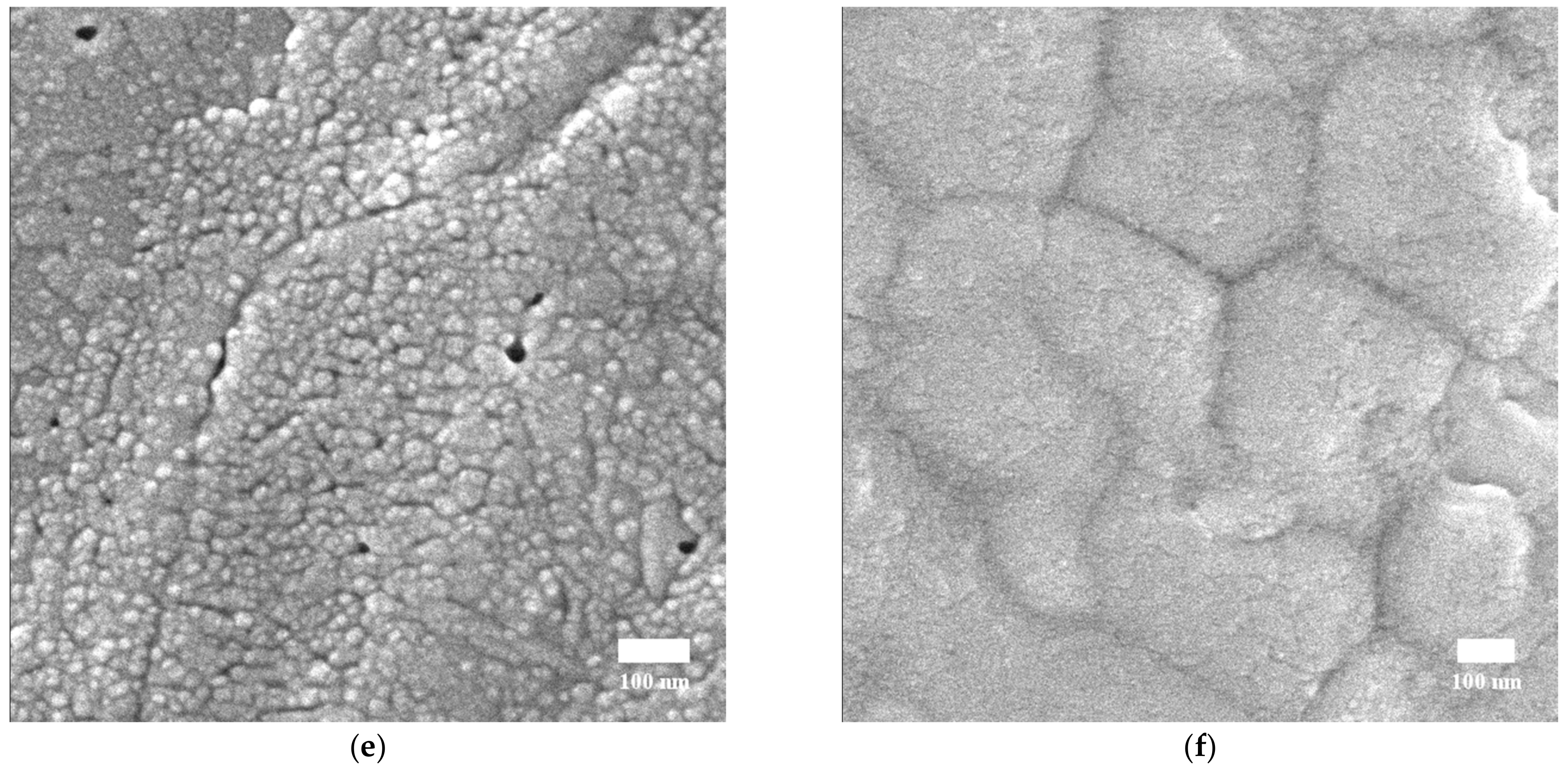 Coatings 12 00549 g003b