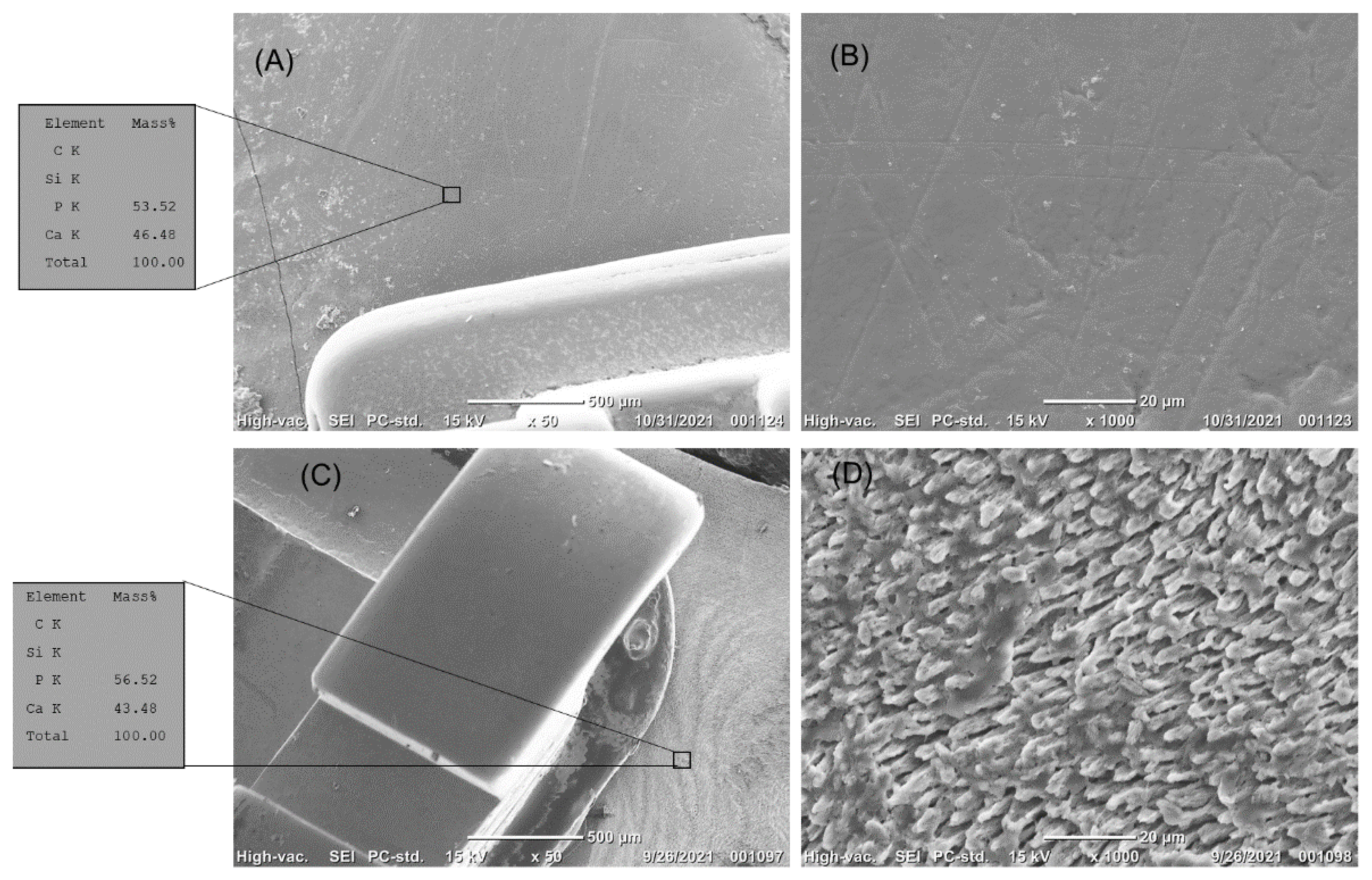 Coatings 12 00550 g004