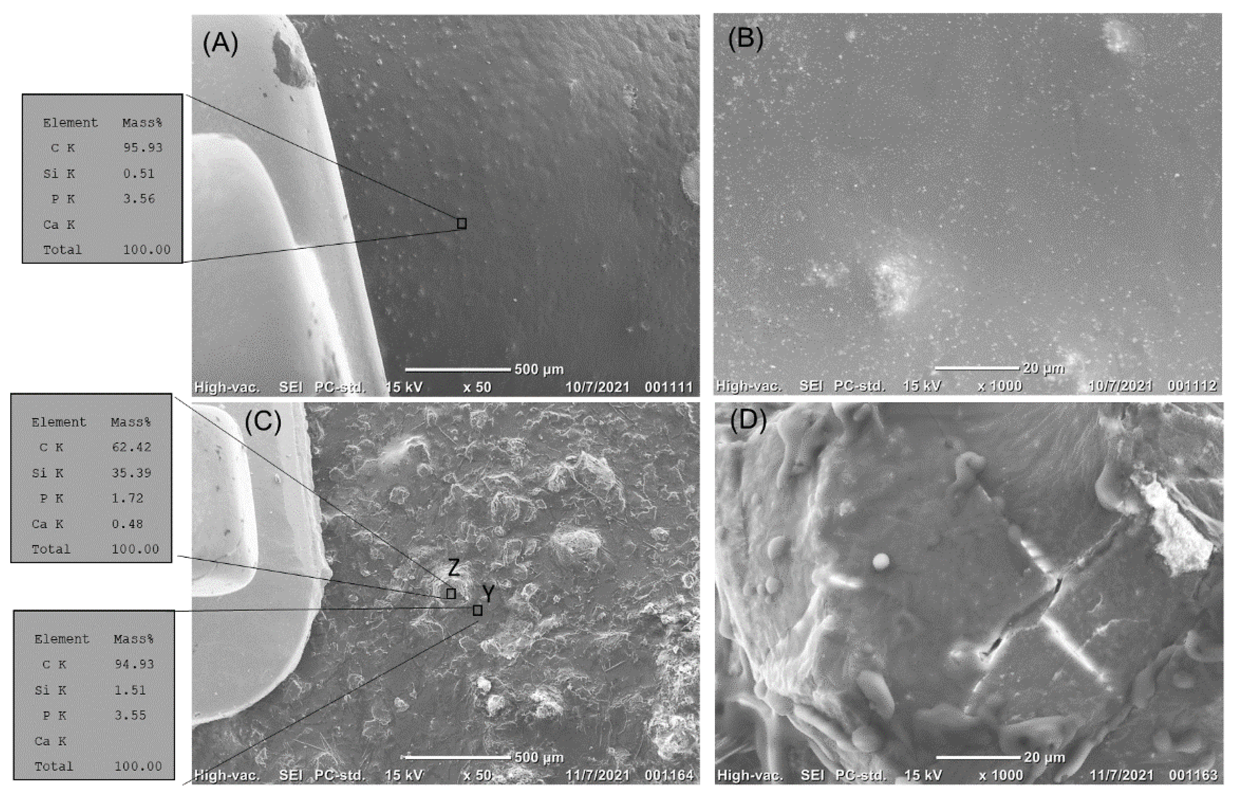 Coatings 12 00550 g006