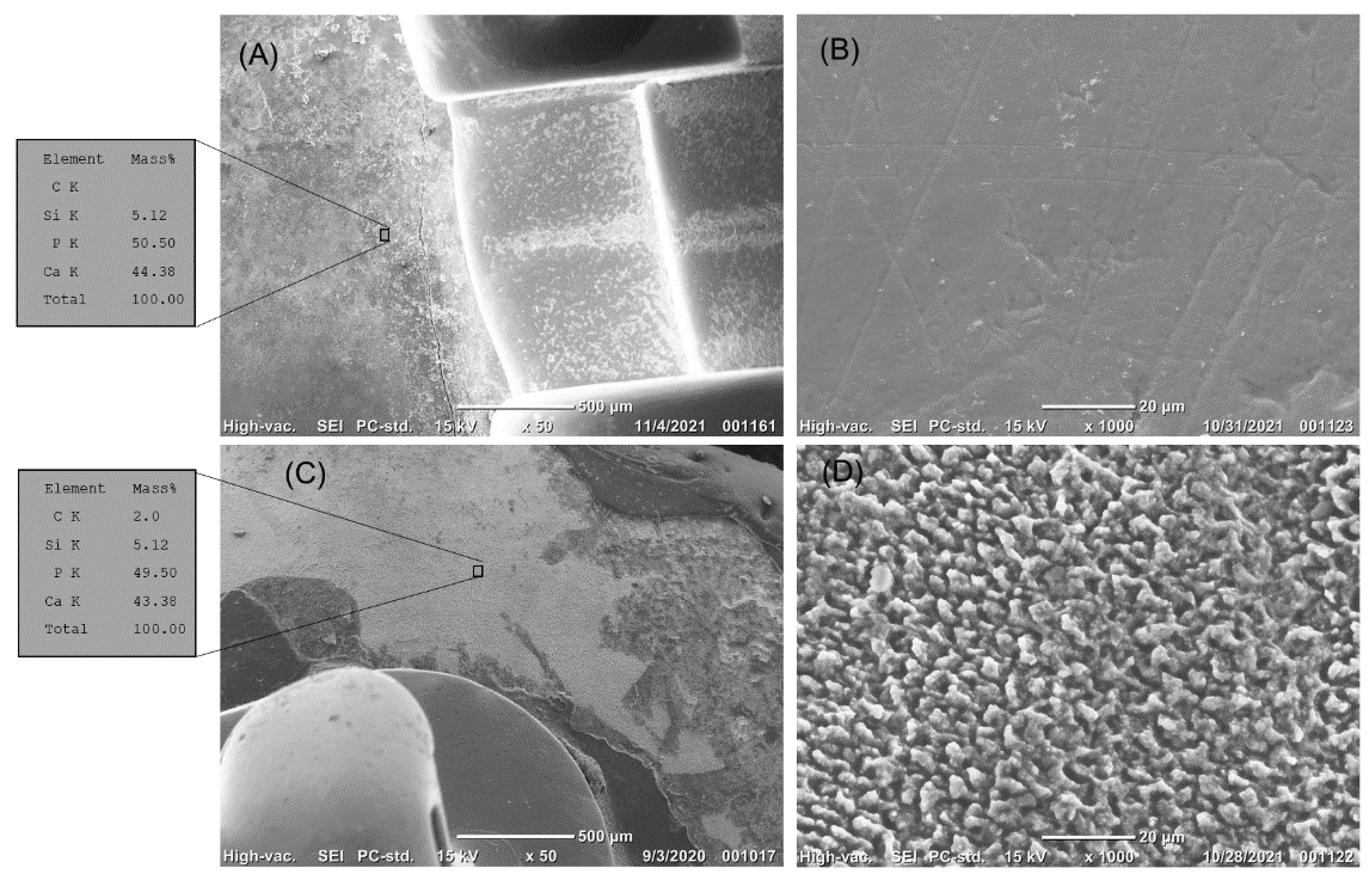 Coatings 12 00550 g007