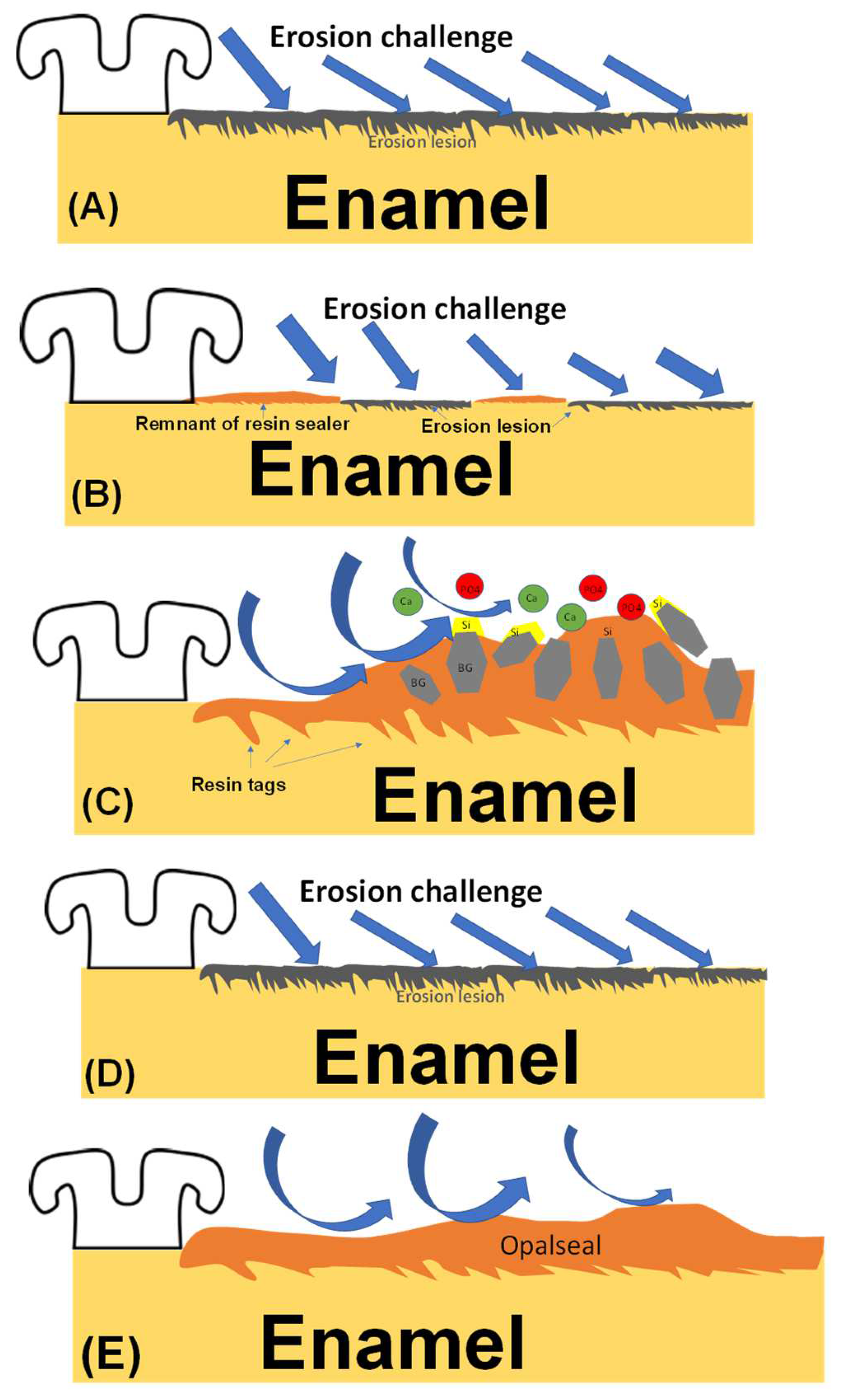 Coatings 12 00550 g009