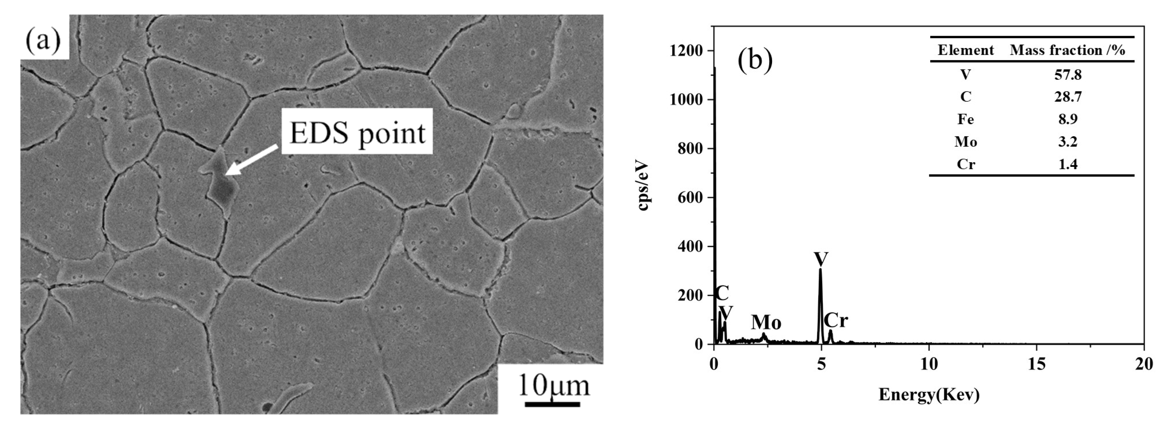 Coatings 12 00551 g002