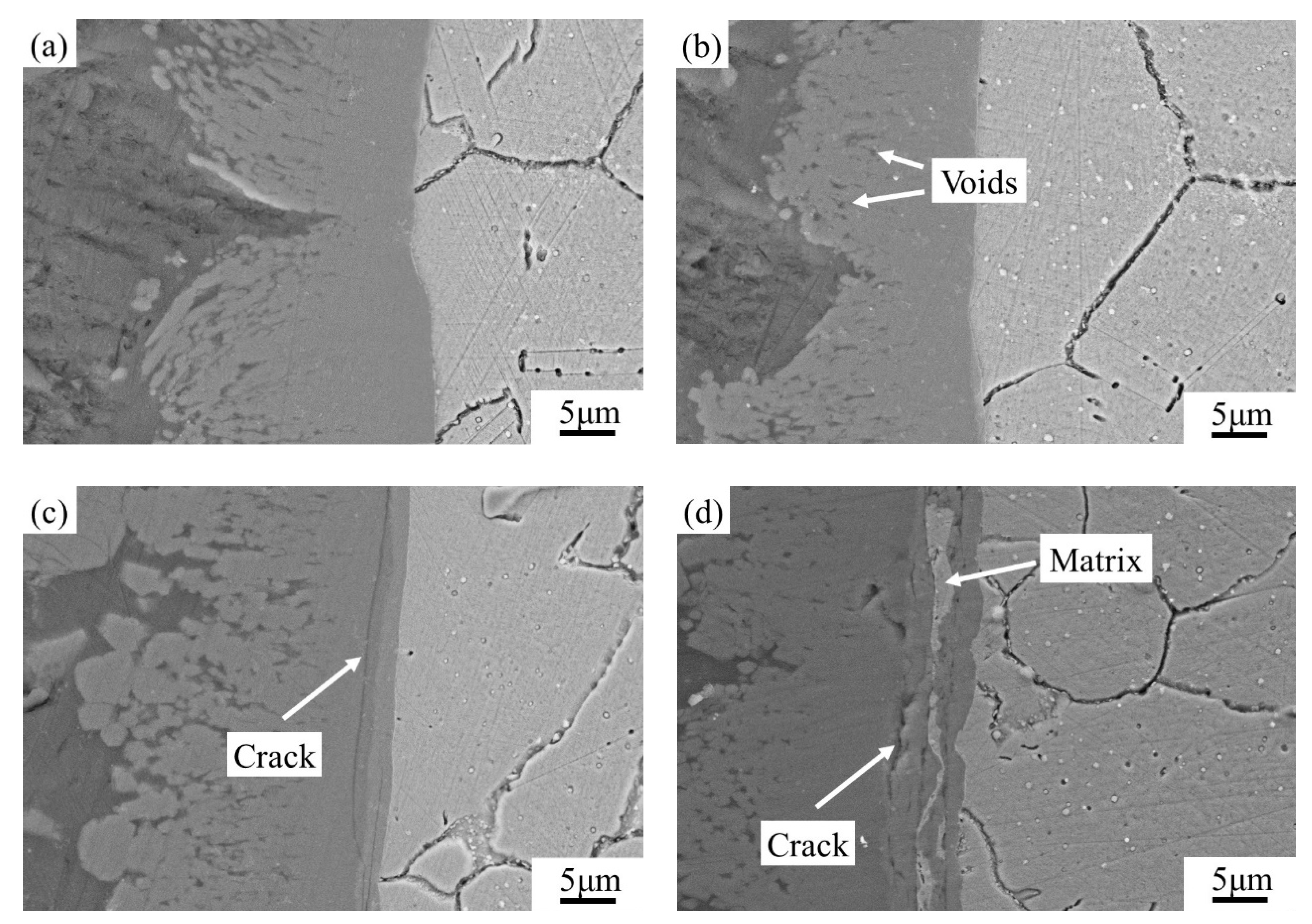 Coatings 12 00551 g004