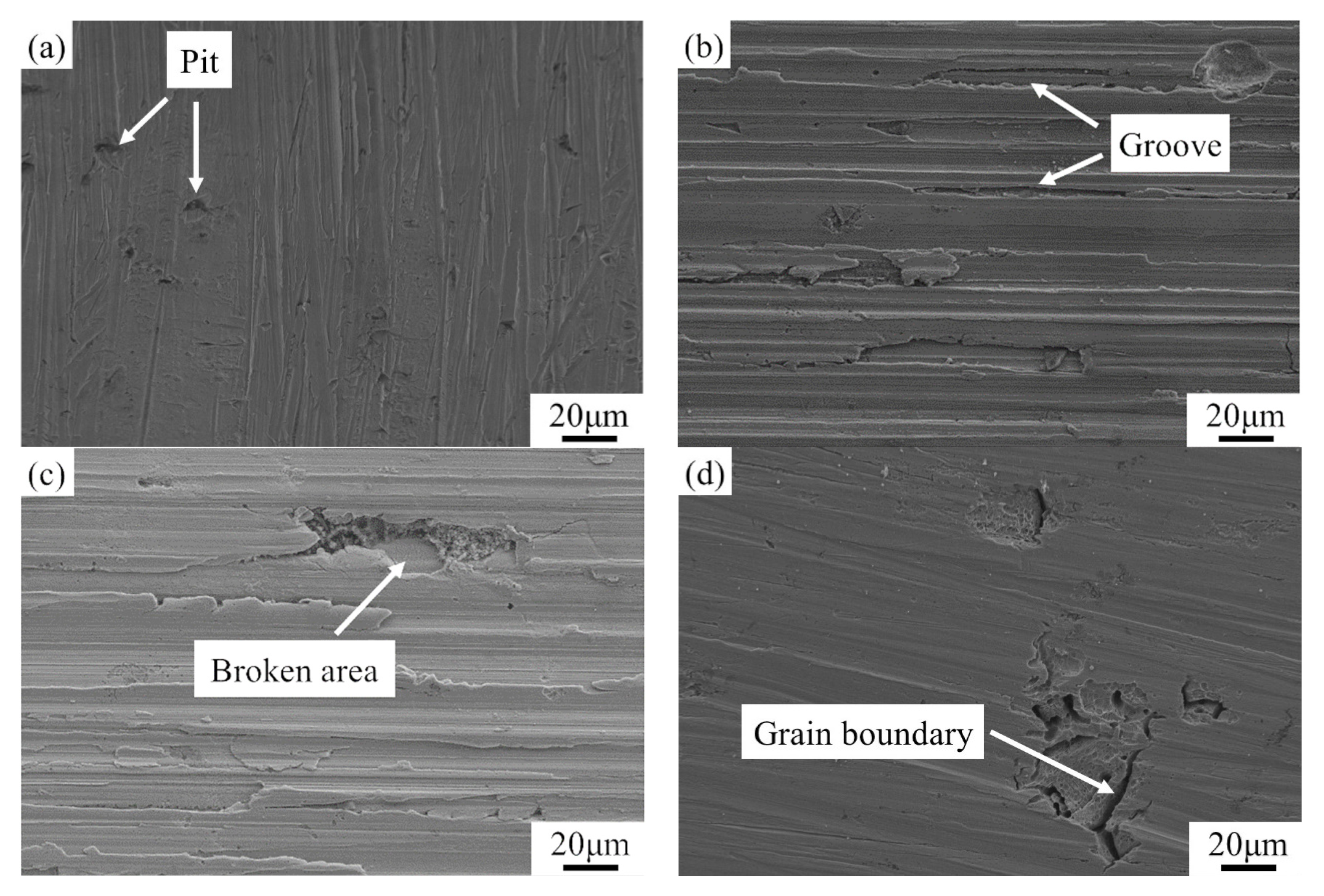 Coatings 12 00551 g006
